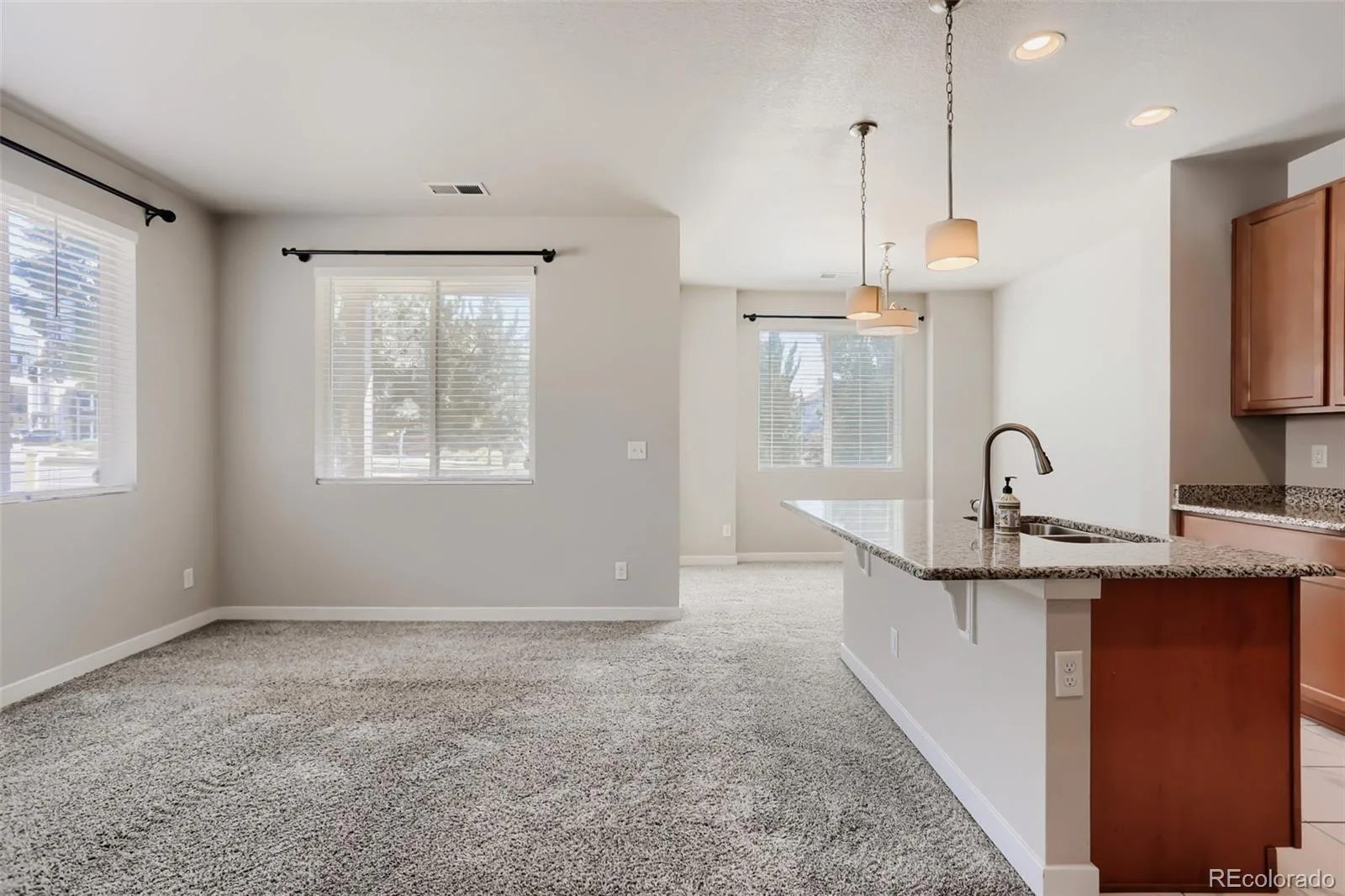 6659 Pecos Street Denver CO 80221 | MLS #REC1949020 06152026194510 1600 11