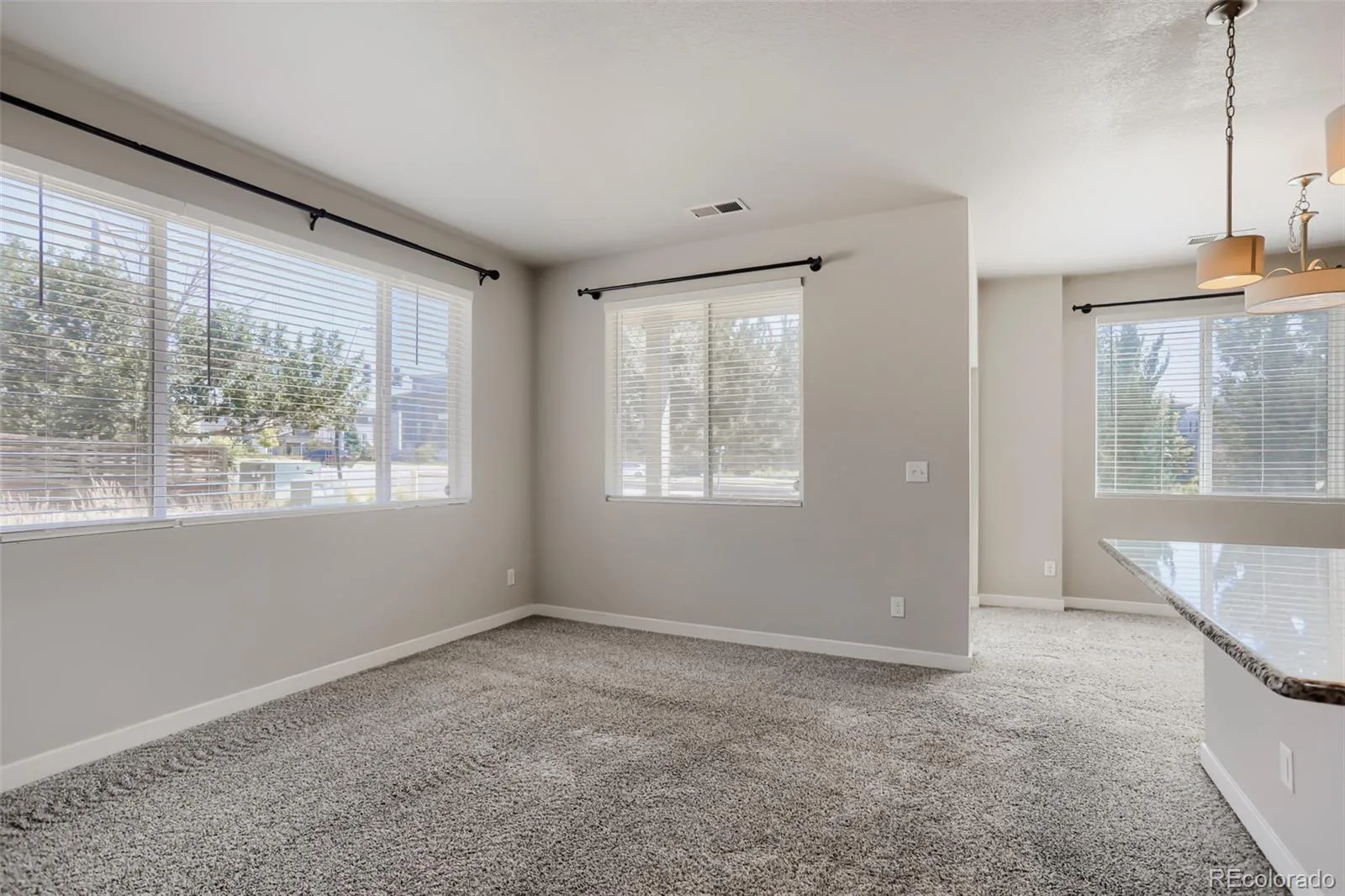 6659 Pecos Street Denver CO 80221 | MLS #REC1949020 06152026194510 1600 6