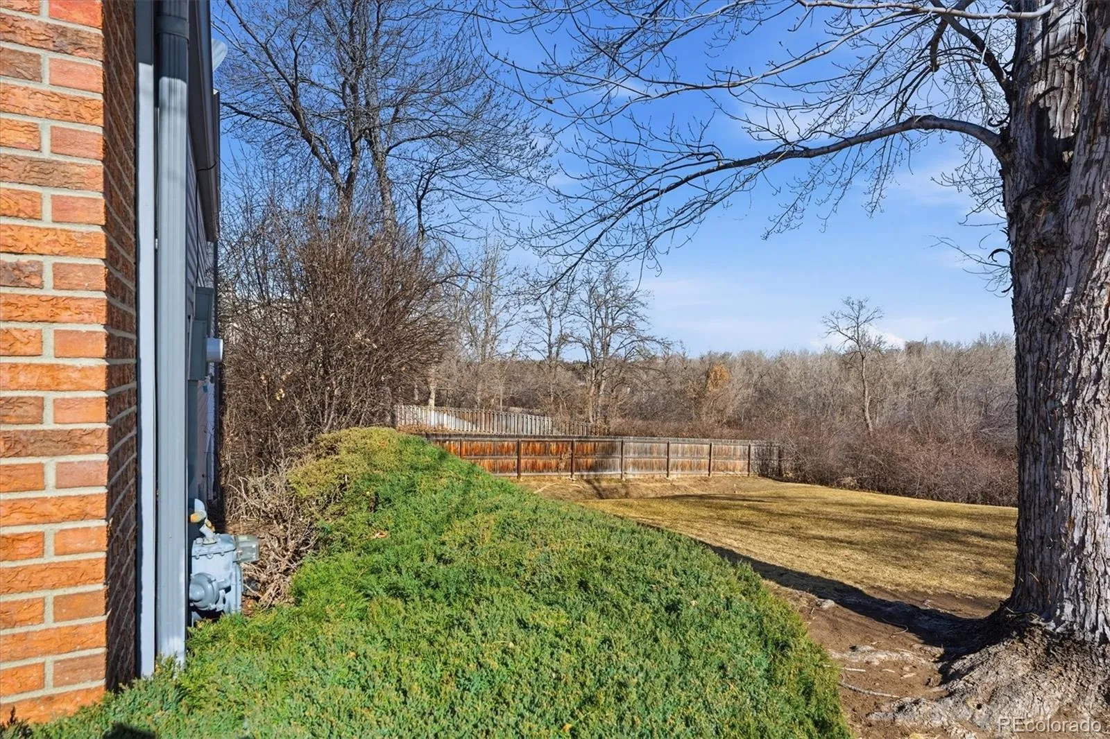 449 W Jamison Circle Littleton CO 80120 MLS #REC1949052 05052026223655 1600 20