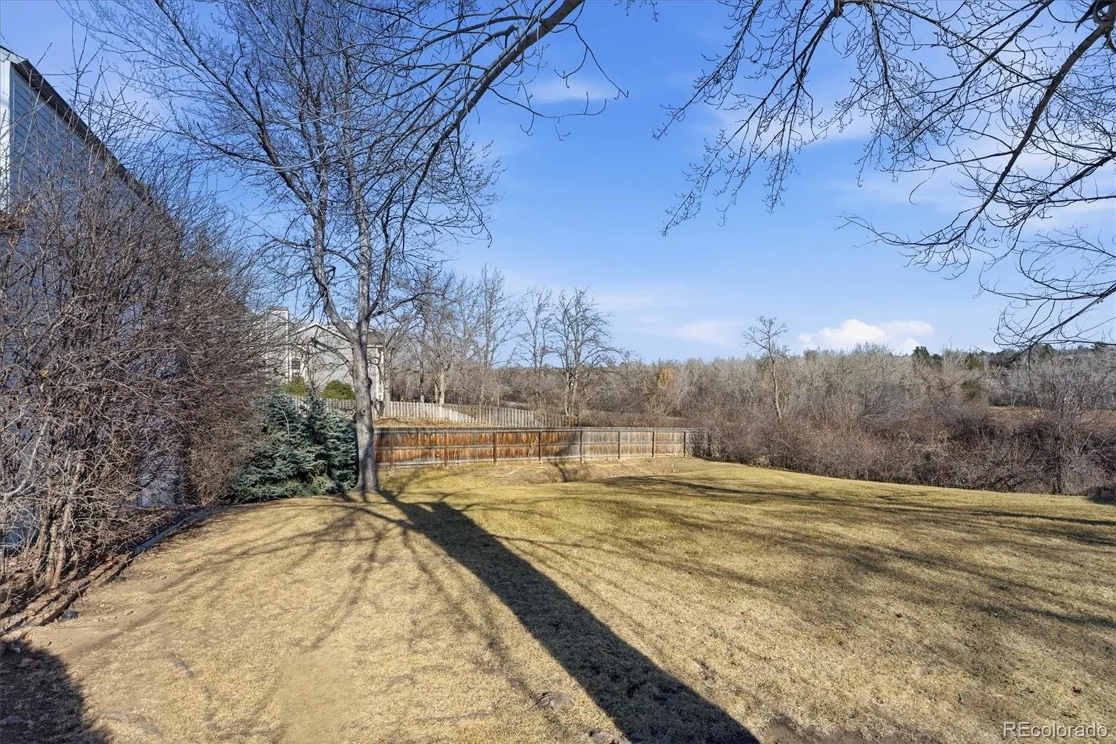 449 W Jamison Circle Littleton CO 80120 MLS #REC1949052 05052026223655 1600 22