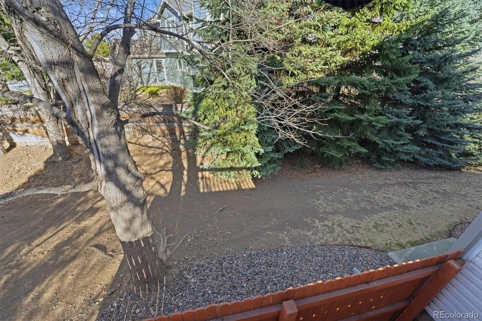 449 W Jamison Circle Littleton CO 80120 MLS #REC1949052 05052026223655 1600 25