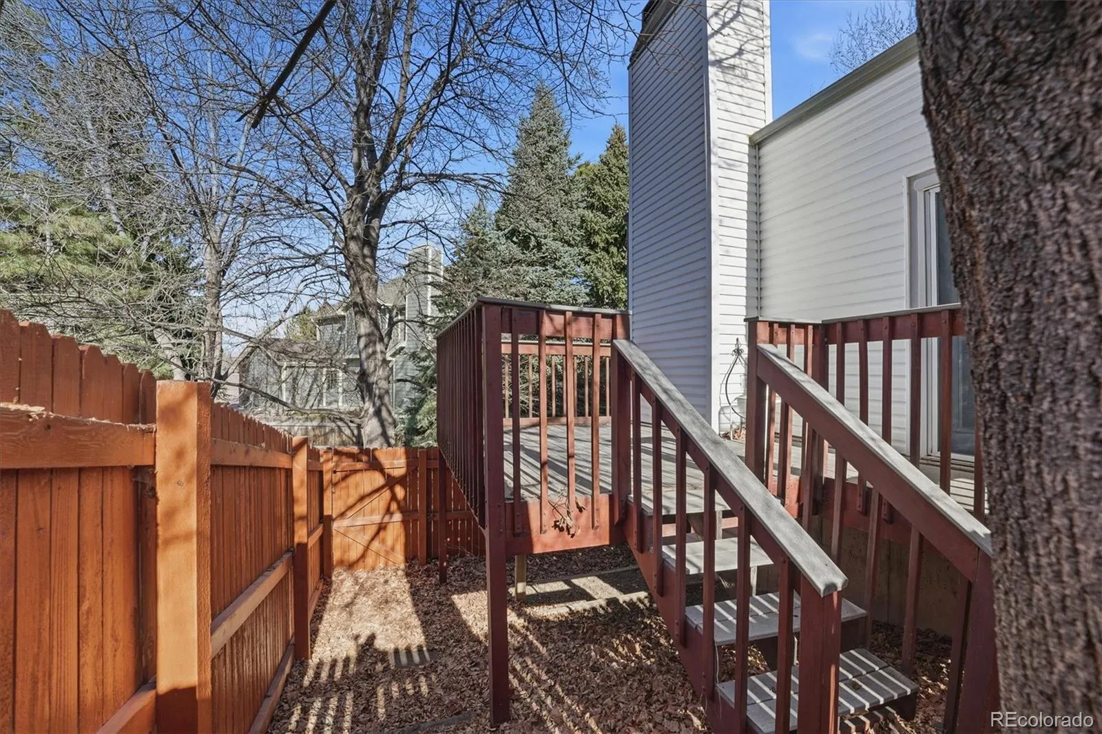 449 W Jamison Circle Littleton CO 80120 MLS #REC1949052 05052026223655 1600 6