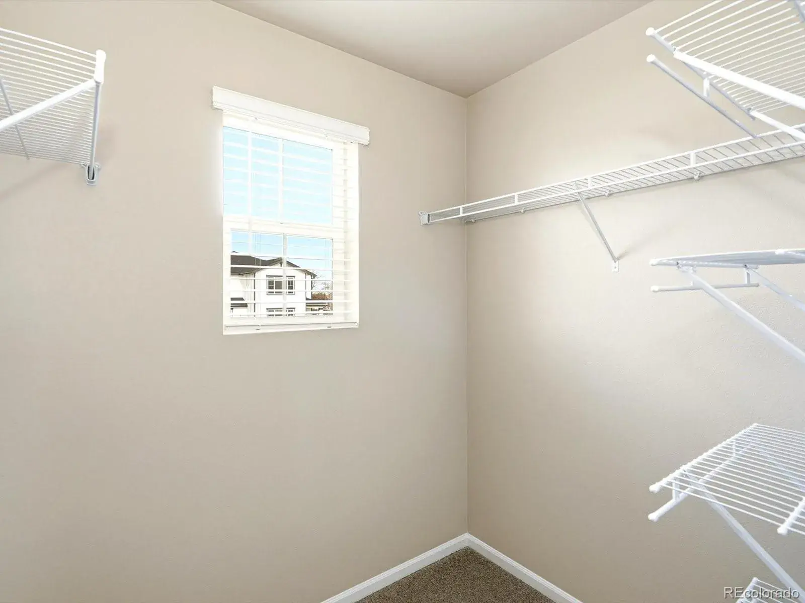 01212026234656 1600 20