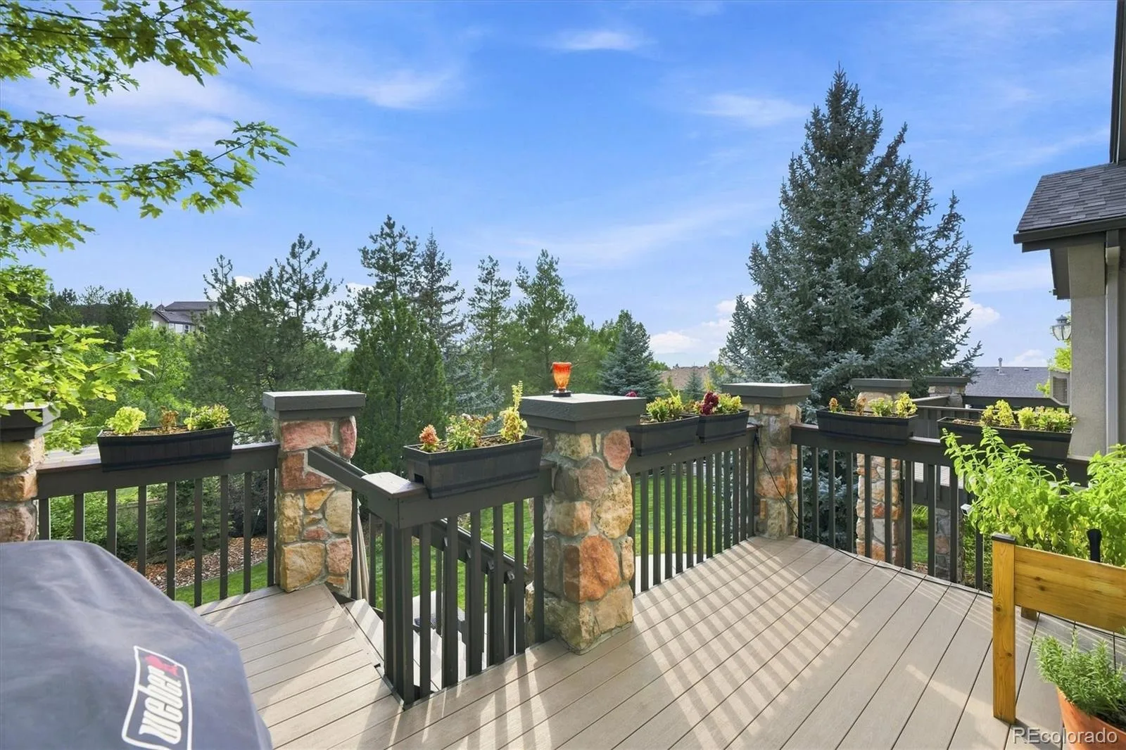 2908 Oakshire Court Littleton CO 80126 | MLS #REC1958454 08132026011504 1600 36