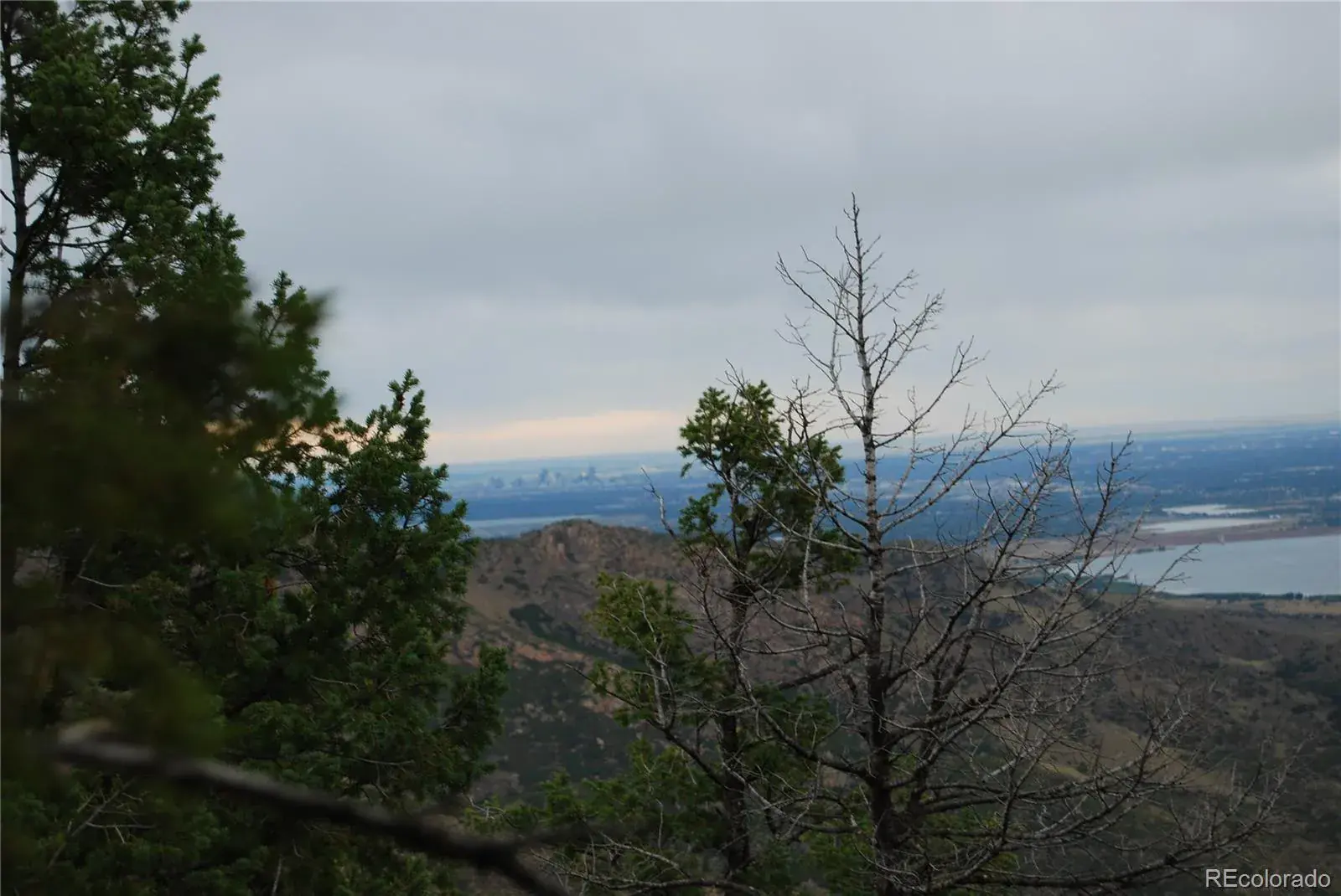 13927 Dancing Bear Trail Littleton CO 80127 | MLS #REC1959725 07292025203238 1600 1