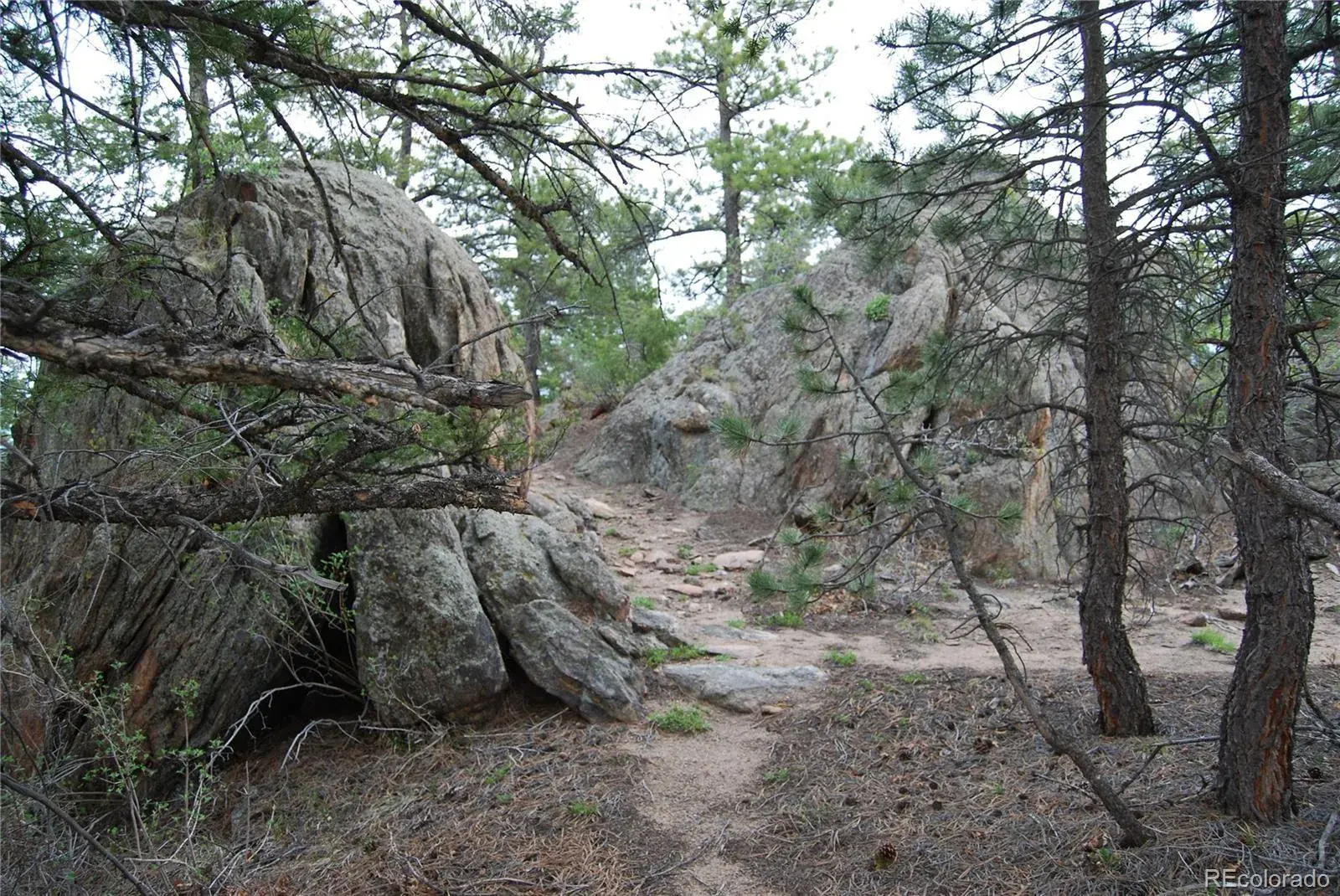 13927 Dancing Bear Trail Littleton CO 80127 | MLS #REC1959725 07292025203238 1600 10