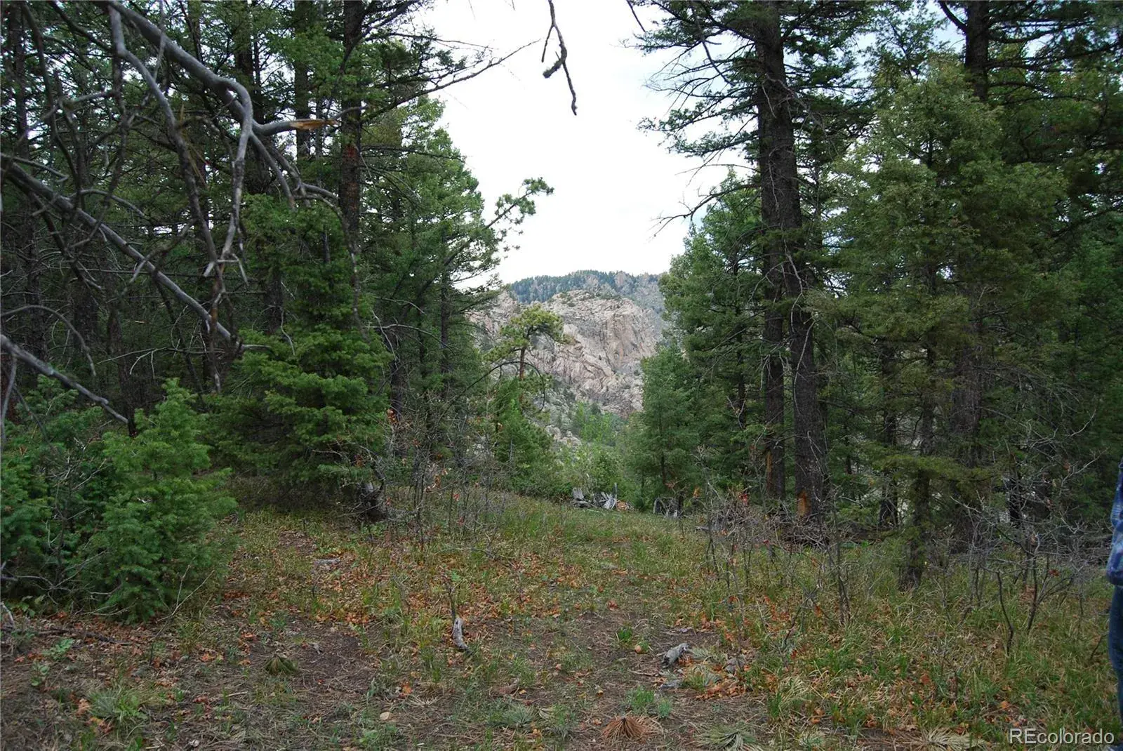 13927 Dancing Bear Trail Littleton CO 80127 | MLS #REC1959725 07292025203238 1600 12