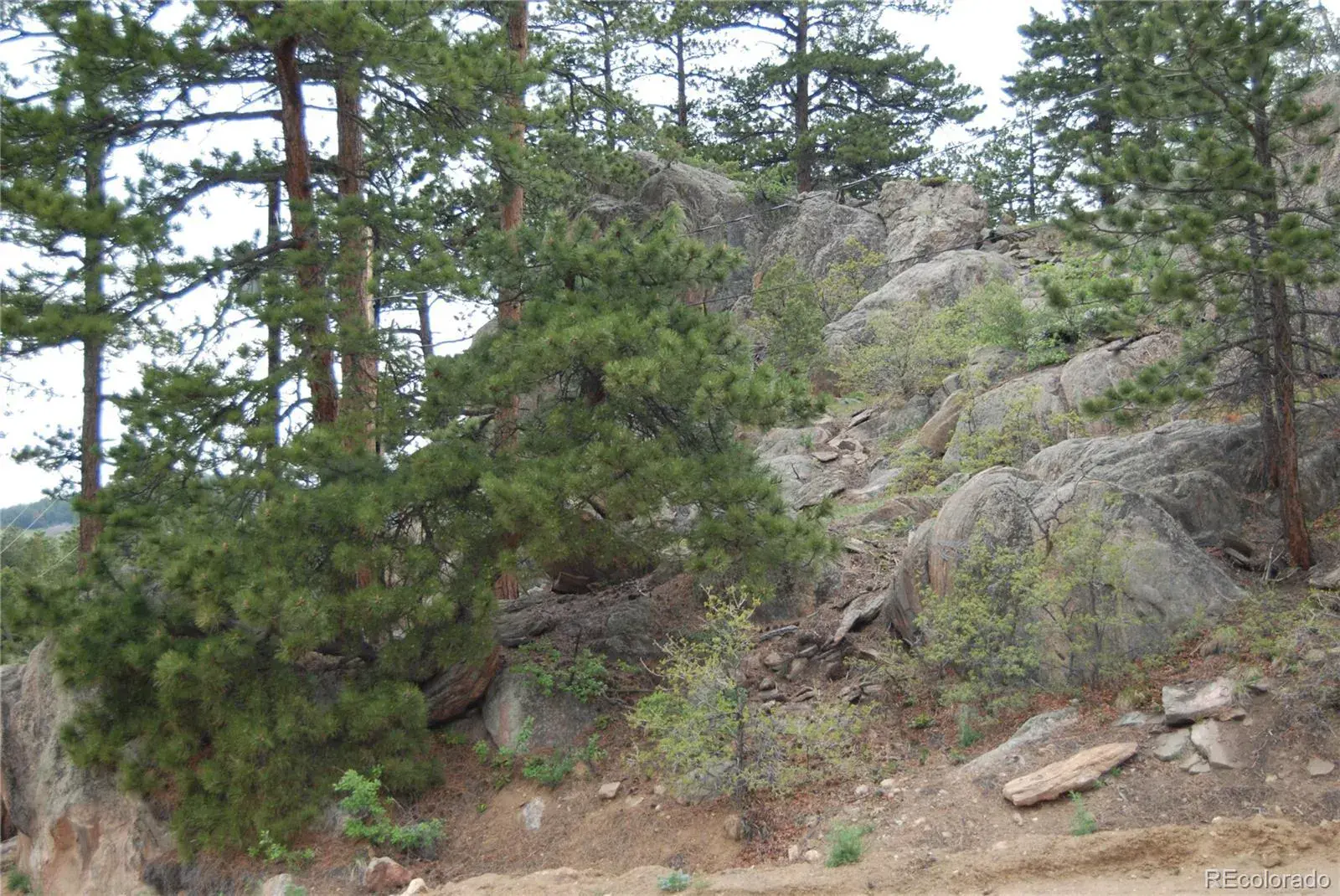 13927 Dancing Bear Trail Littleton CO 80127 | MLS #REC1959725 07292025203238 1600 13