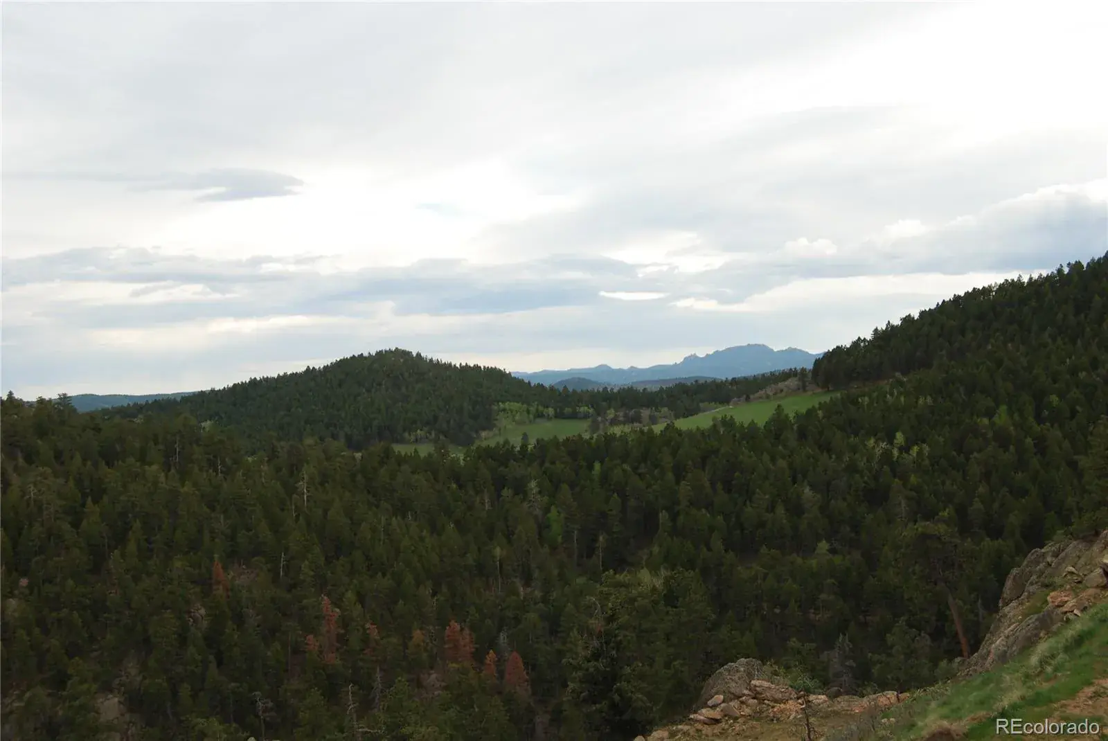 13927 Dancing Bear Trail Littleton CO 80127 | MLS #REC1959725 07292025203238 1600 14