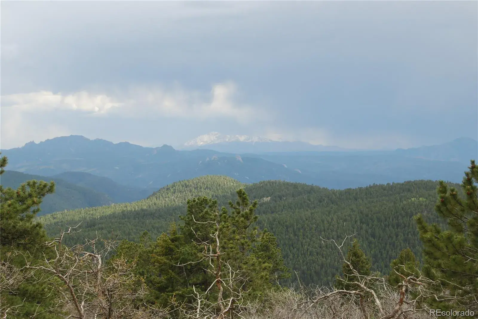 13927 Dancing Bear Trail Littleton CO 80127 | MLS #REC1959725 07292025203238 1600 2