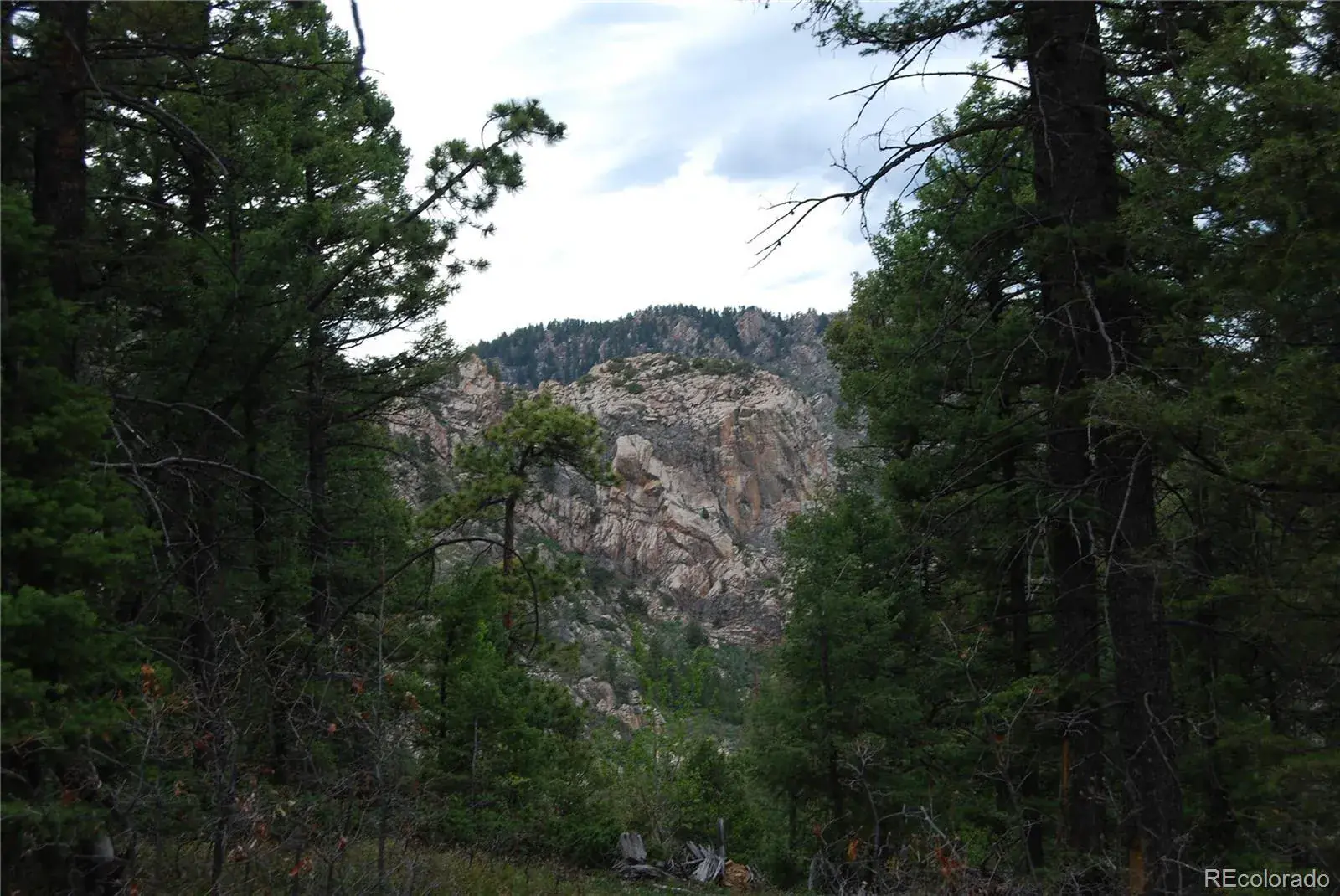 13927 Dancing Bear Trail Littleton CO 80127 | MLS #REC1959725 07292025203238 1600 3