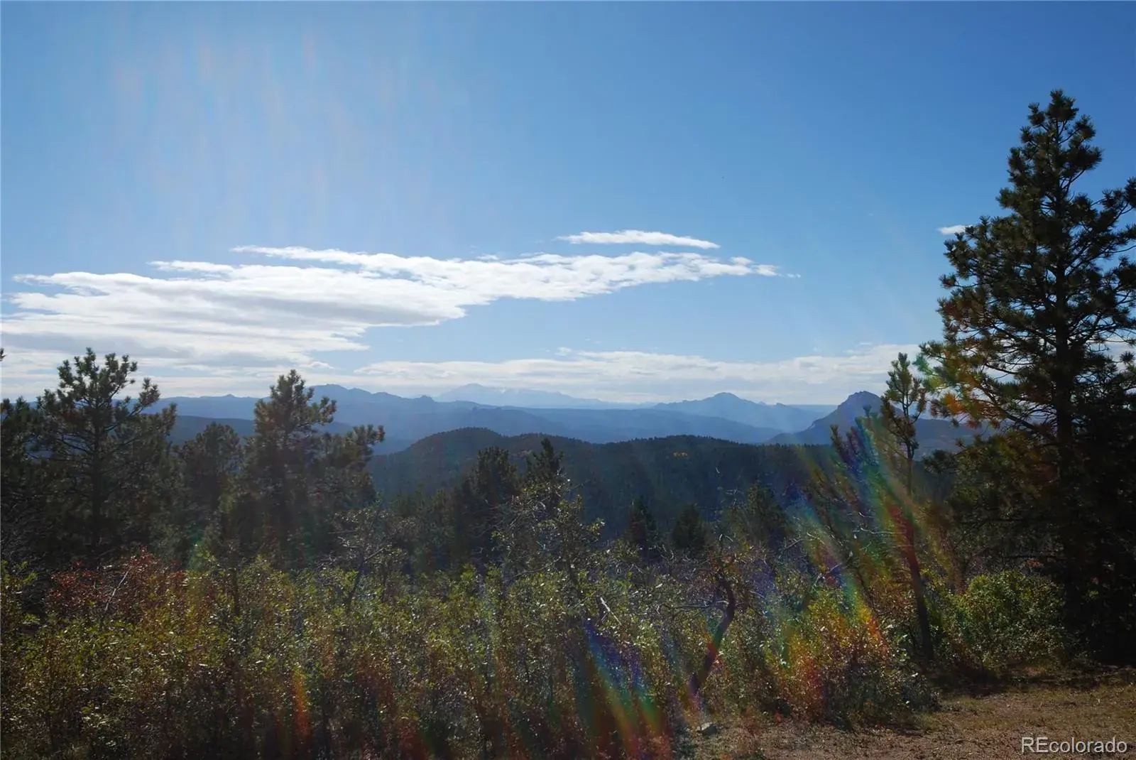 13927 Dancing Bear Trail Littleton CO 80127 | MLS #REC1959725 07292025203238 1600 5