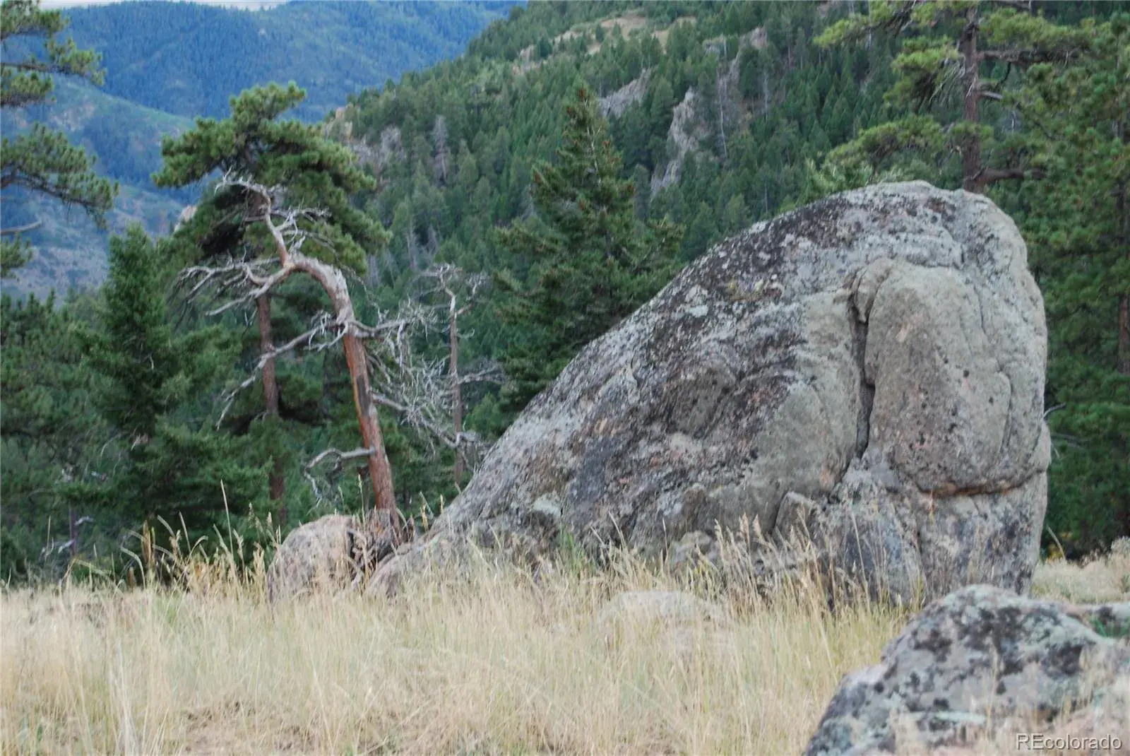 13927 Dancing Bear Trail Littleton CO 80127 | MLS #REC1959725 07292025203238 1600 6