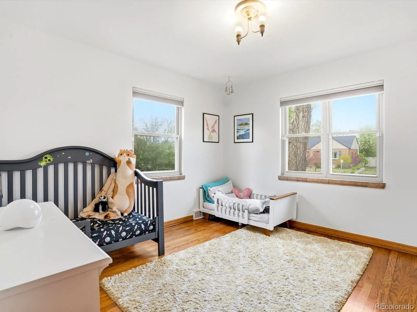 04152026004208 1600 20