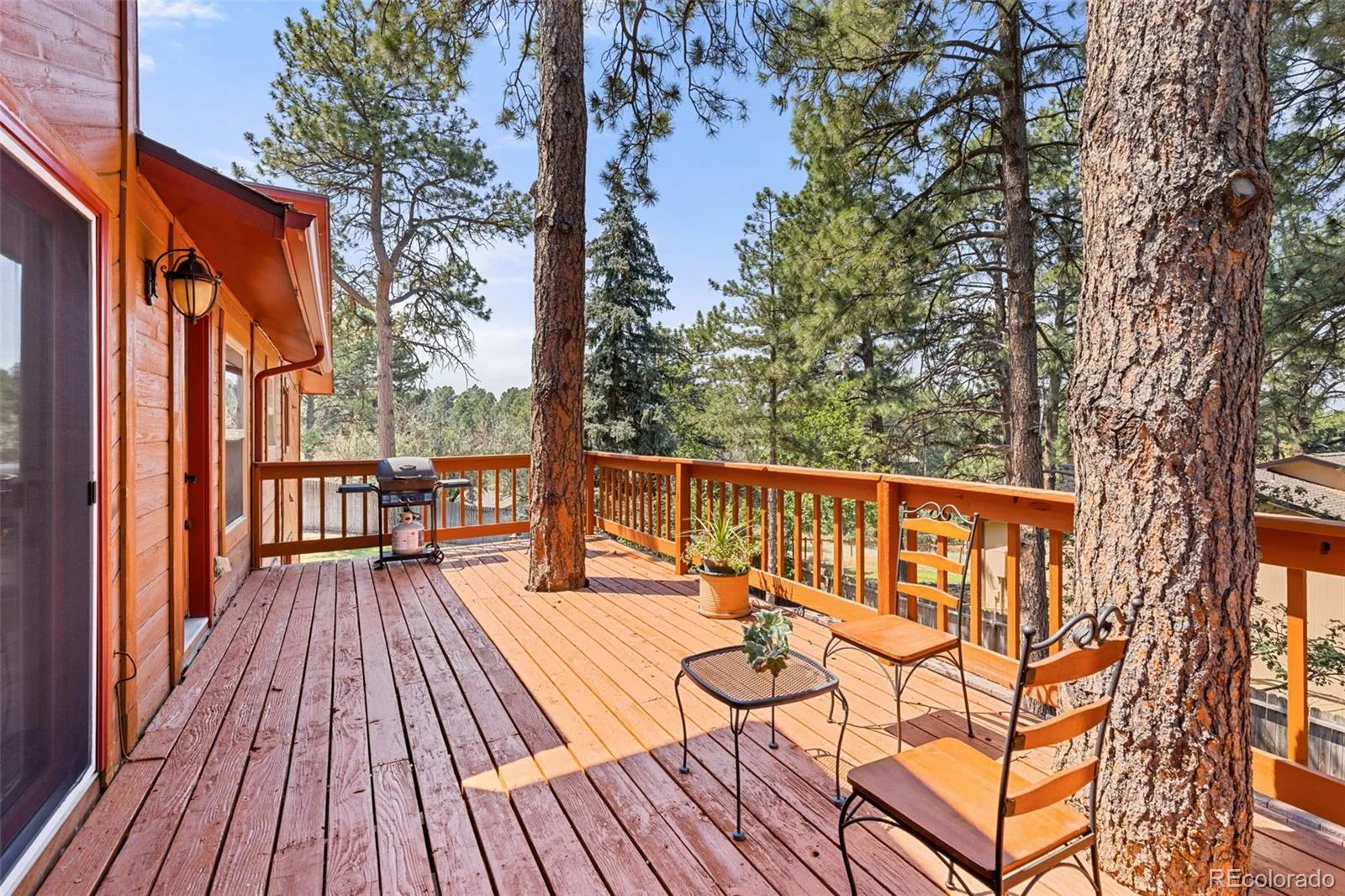 9434 Mcshane Court Parker CO 80134 MLS #REC1973256 07032026152316 1600 39