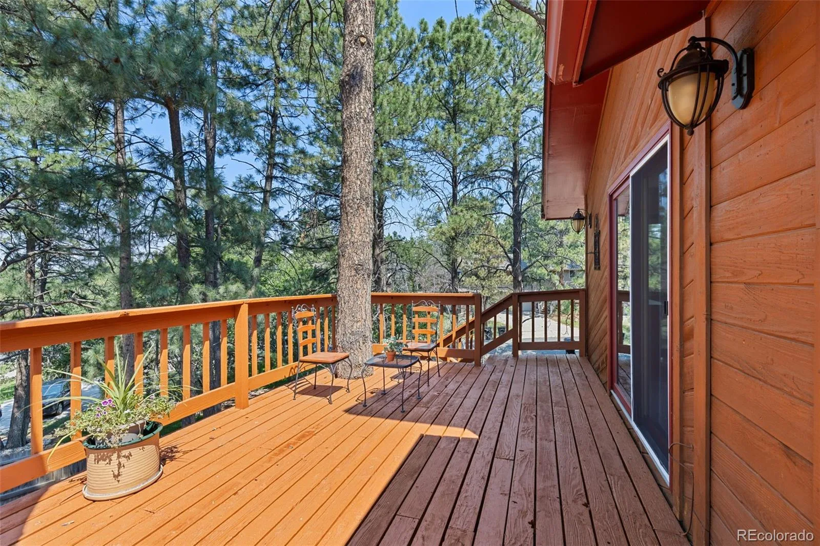 9434 Mcshane Court Parker CO 80134 MLS #REC1973256 07032026152316 1600 40