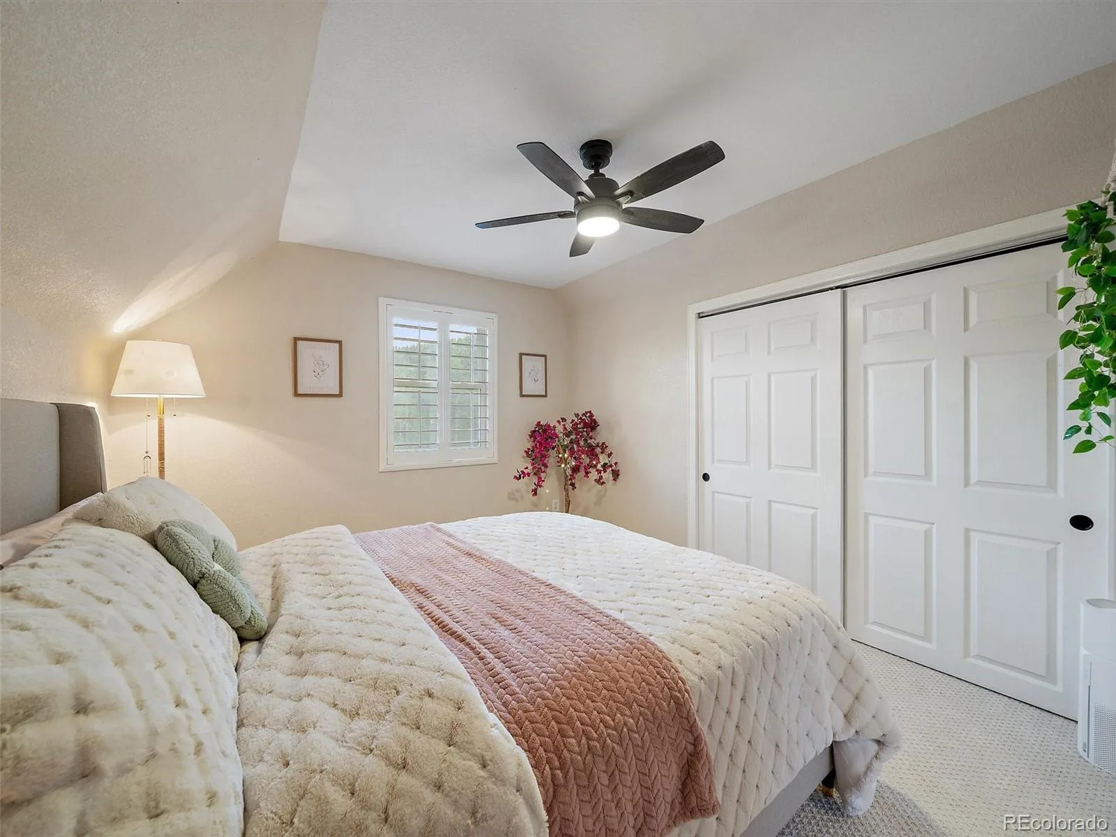 65 Apache Road Evergreen CO 80439 | MLS #REC1974738 07272026033424 1600 15