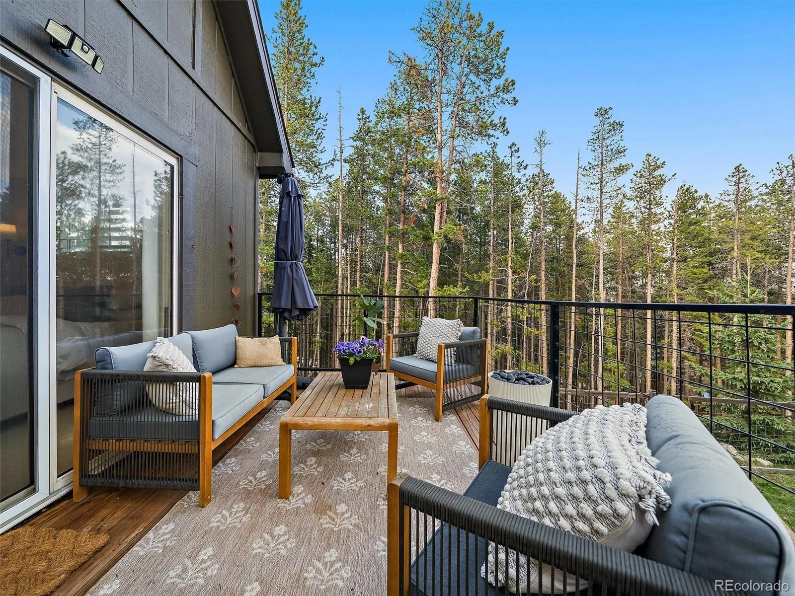 65 Apache Road Evergreen CO 80439 | MLS #REC1974738 07272026033424 1600 19