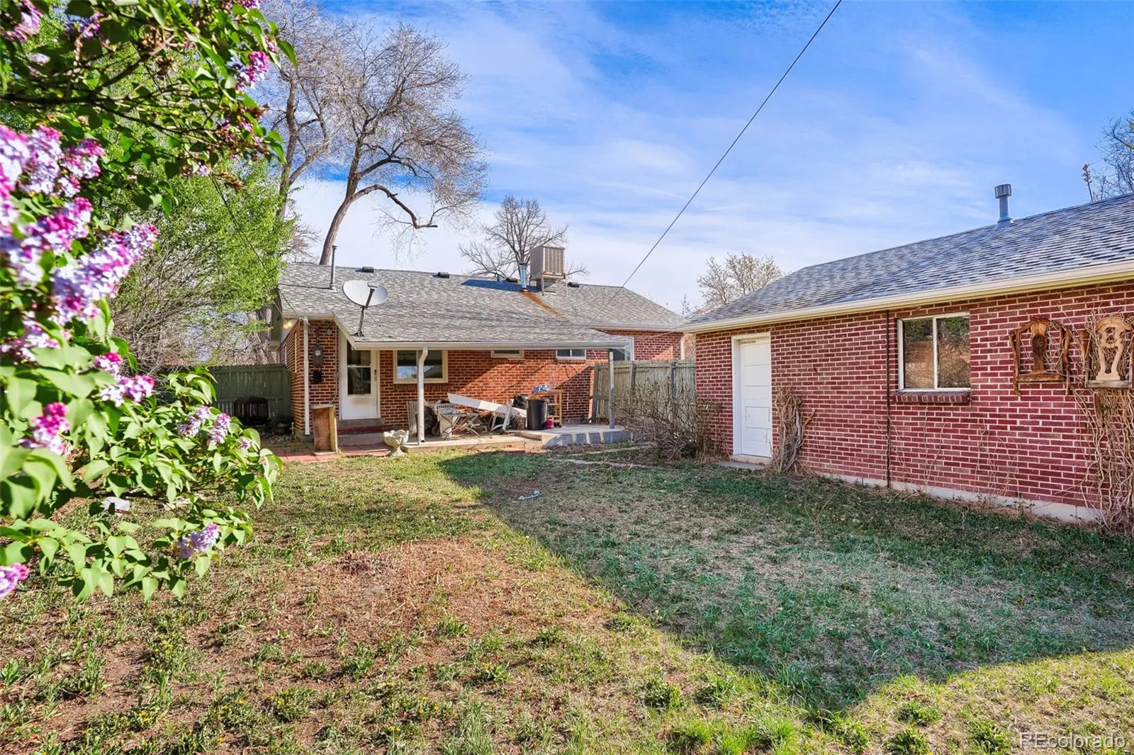 04152026183755 1600 25