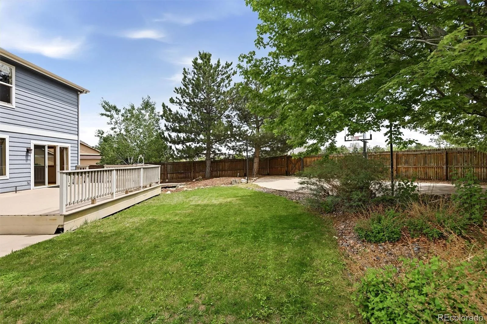 6410 W 98th Court Westminster CO 80021 MLS #REC1981294 06112026171537 1600 38