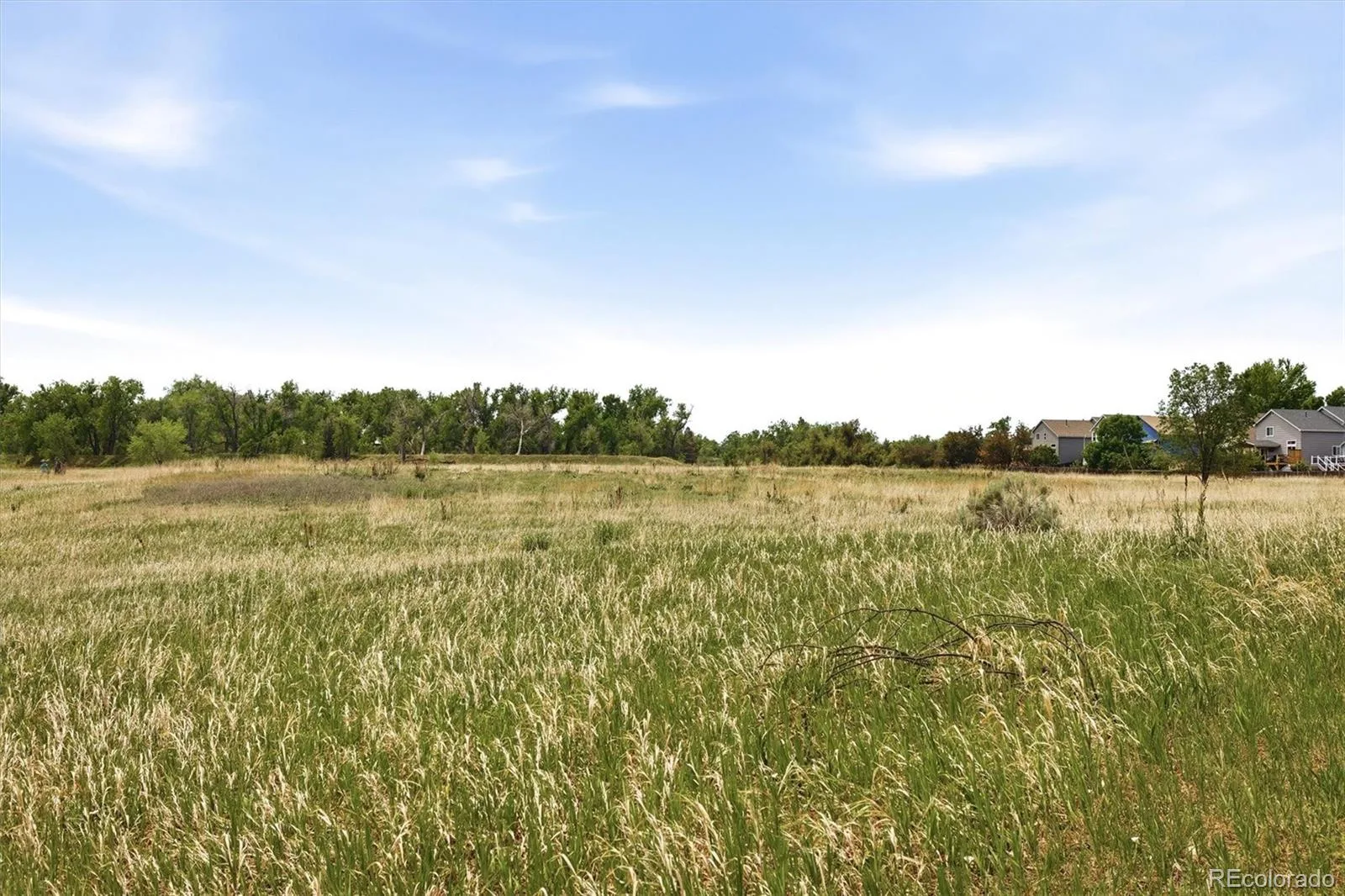 6410 W 98th Court Westminster CO 80021 MLS #REC1981294 06112026171537 1600 43