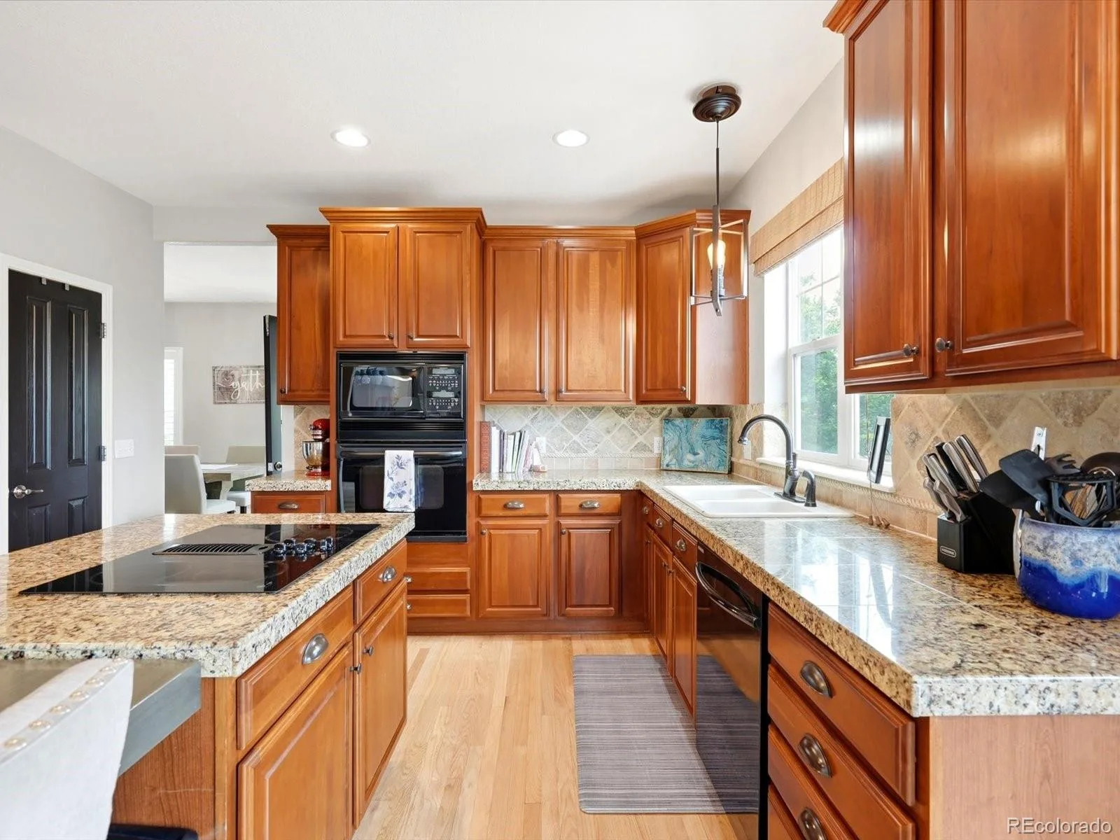 4579 Broadview Court Castle Rock CO 80109 MLS #REC1985145 07062026191841 1600 14