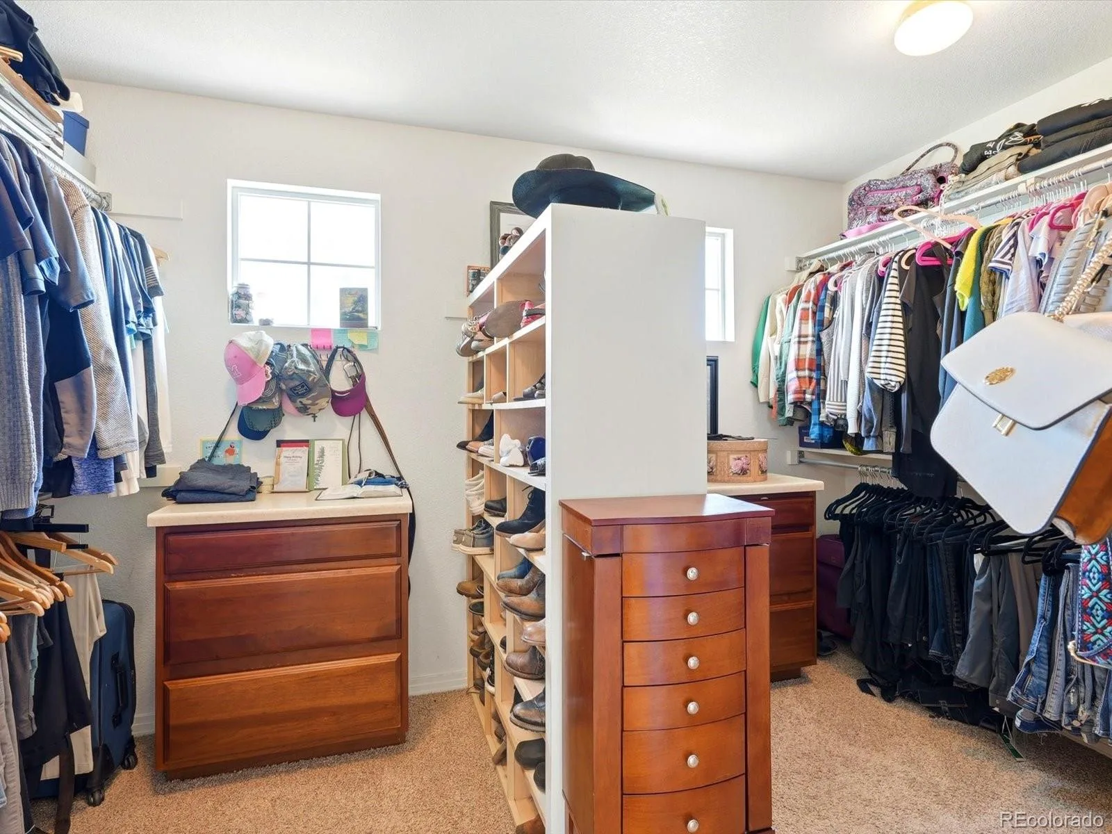 4579 Broadview Court Castle Rock CO 80109 MLS #REC1985145 07062026191841 1600 22
