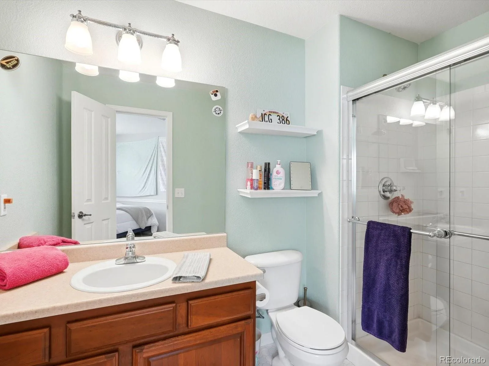 4579 Broadview Court Castle Rock CO 80109 MLS #REC1985145 07062026191841 1600 24