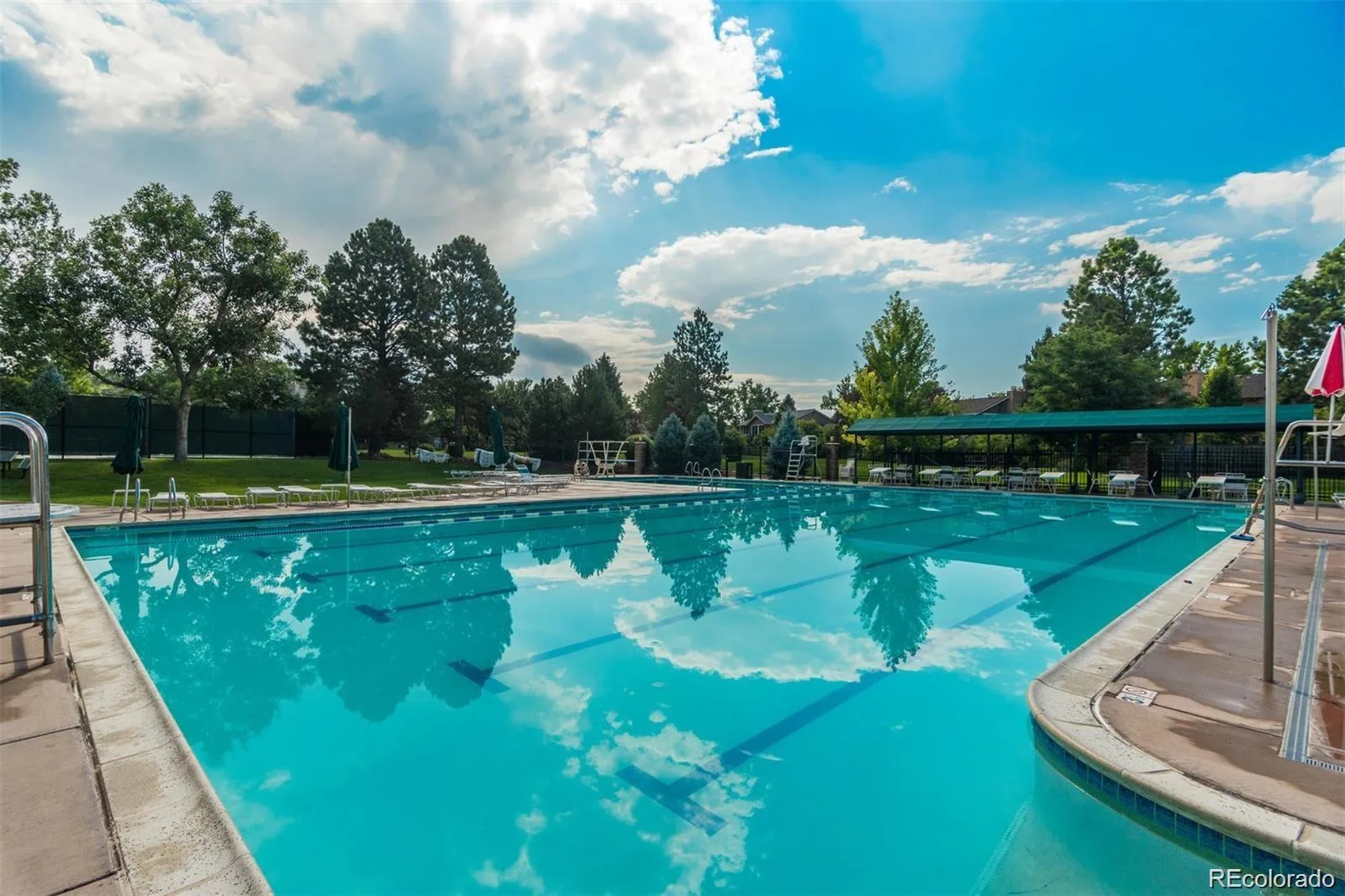 7715 S Forest Street Centennial CO 80122 | MLS #REC1991748 08142026034628 1600 46