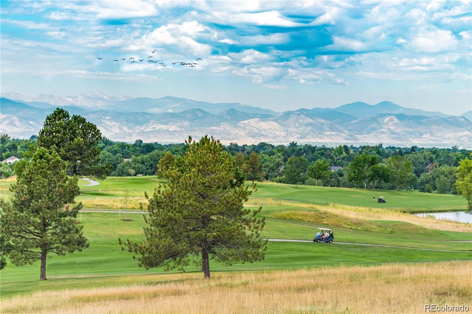 7715 S Forest Street Centennial CO 80122 | MLS #REC1991748 08142026034628 1600 47