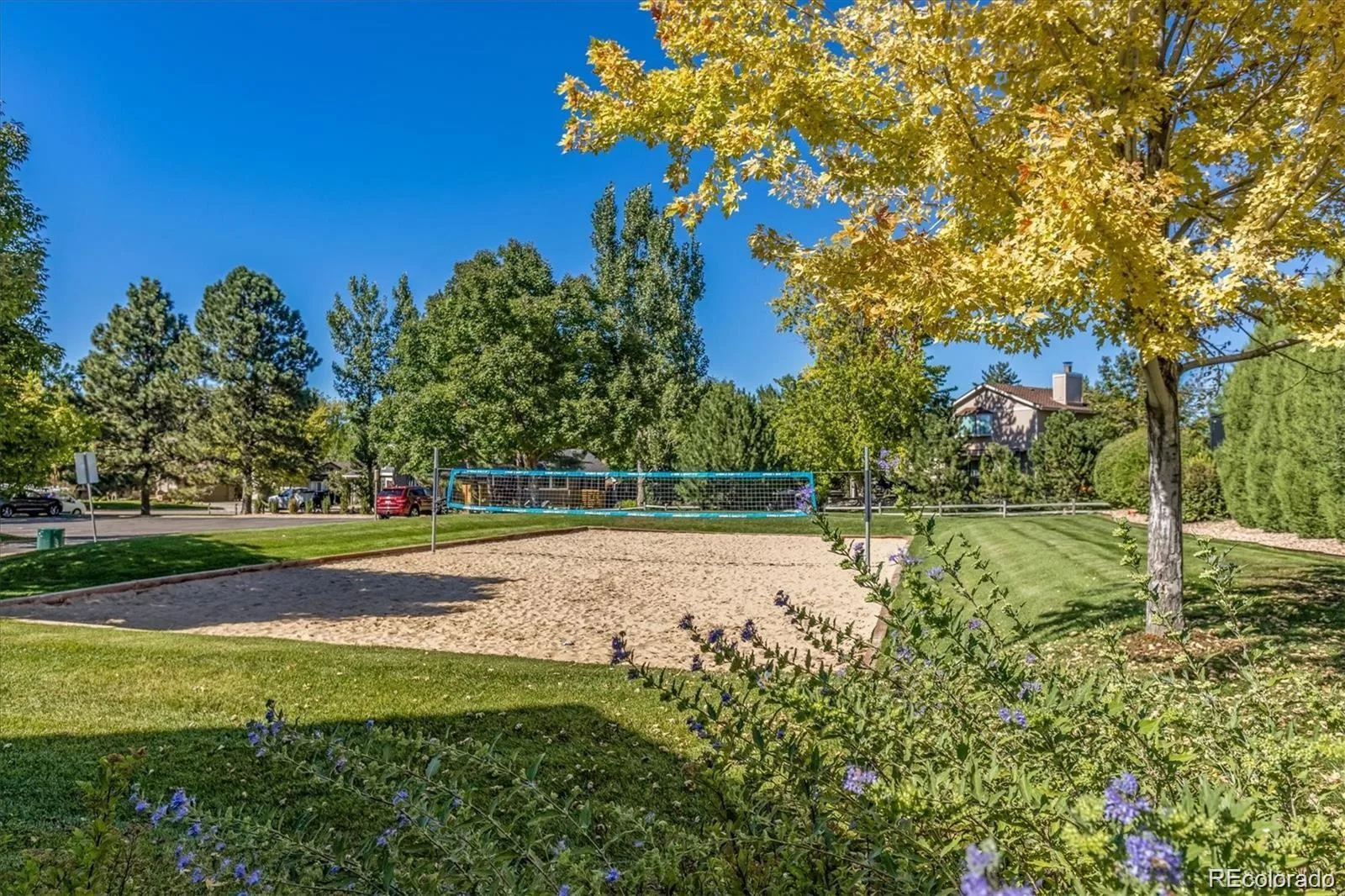 7715 S Forest Street Centennial CO 80122 | MLS #REC1991748 08142026034628 1600 49