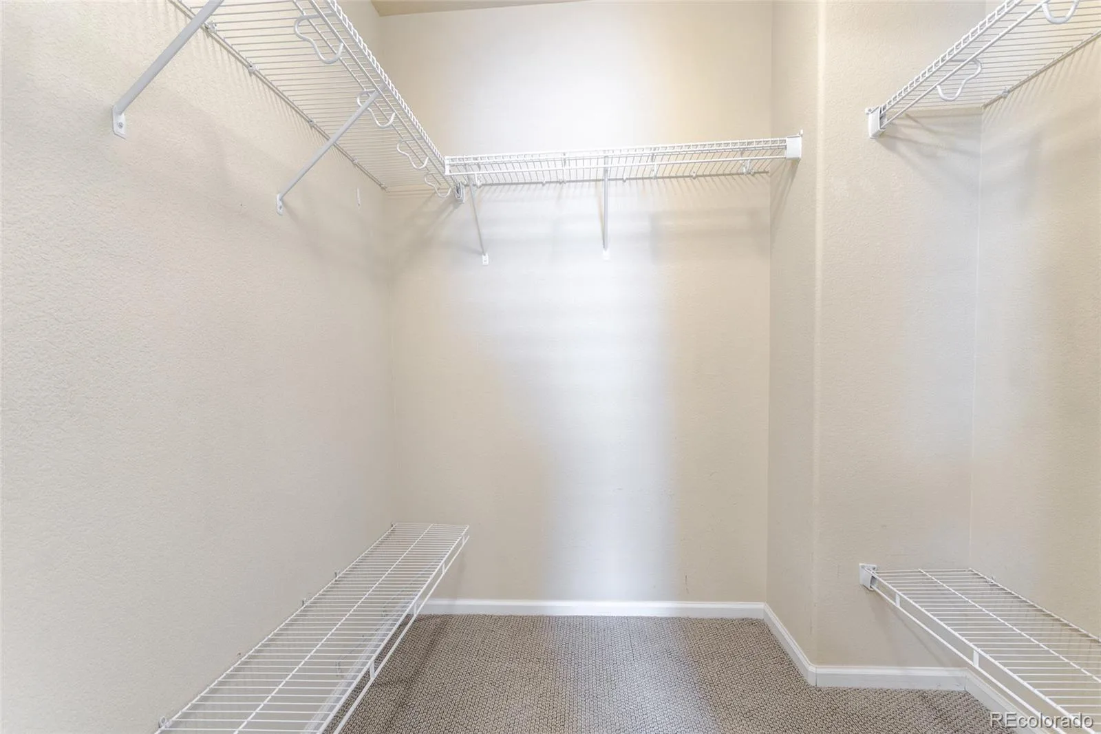 11055 Chesmore Street Littleton CO 80130 | MLS #REC1996336 08122026215949 1600 16