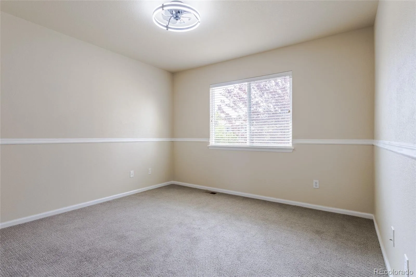 11055 Chesmore Street Littleton CO 80130 | MLS #REC1996336 08122026215949 1600 21