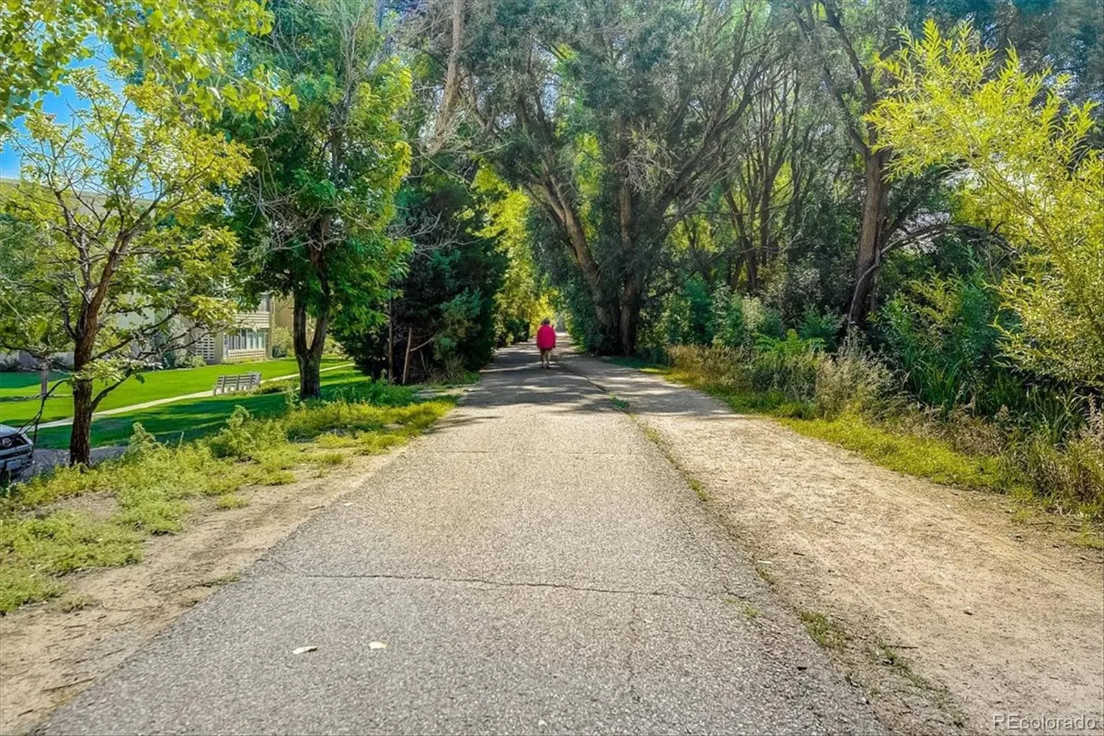 03112026224800 1600 44