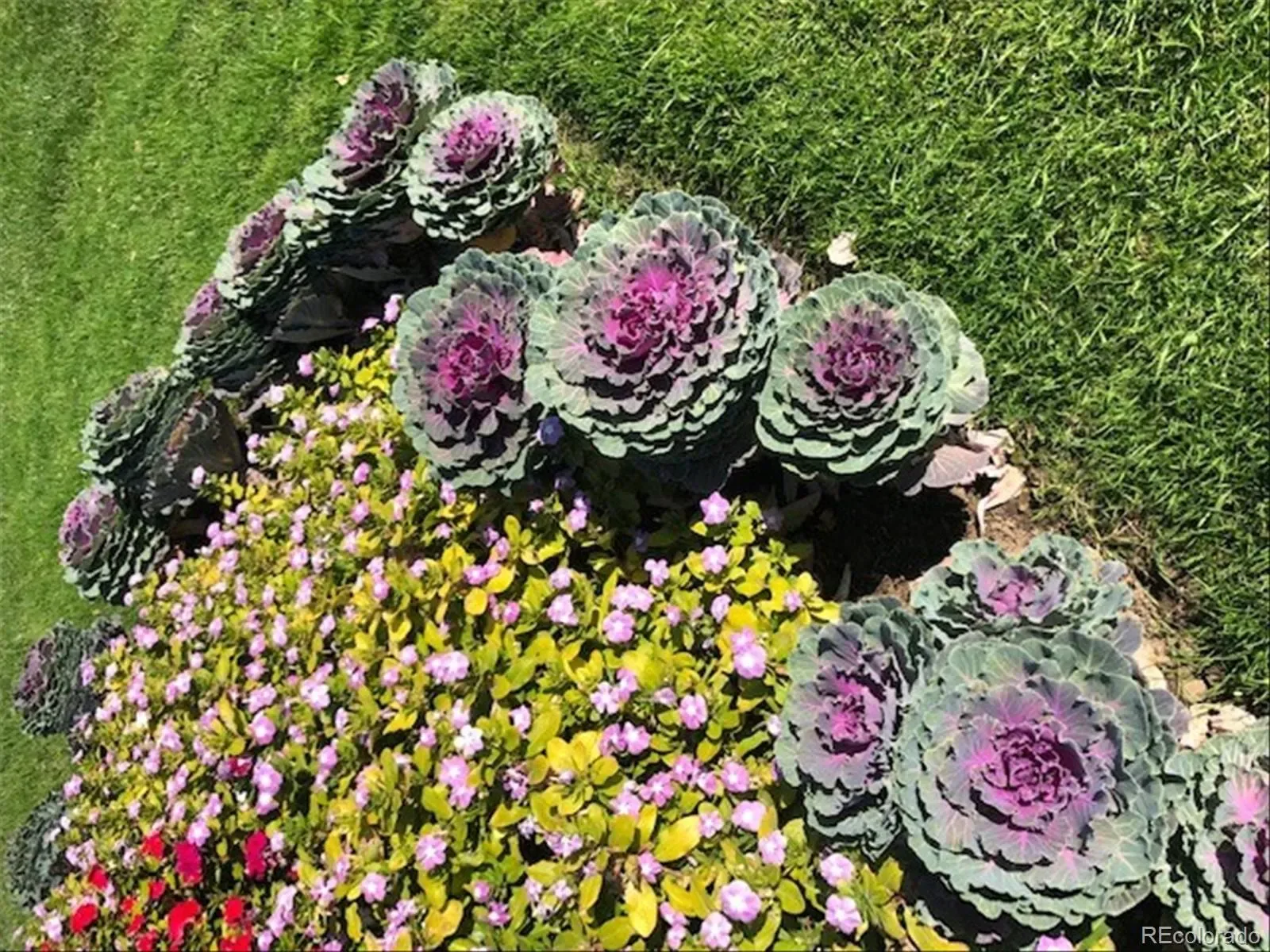 03112026224800 1600 47