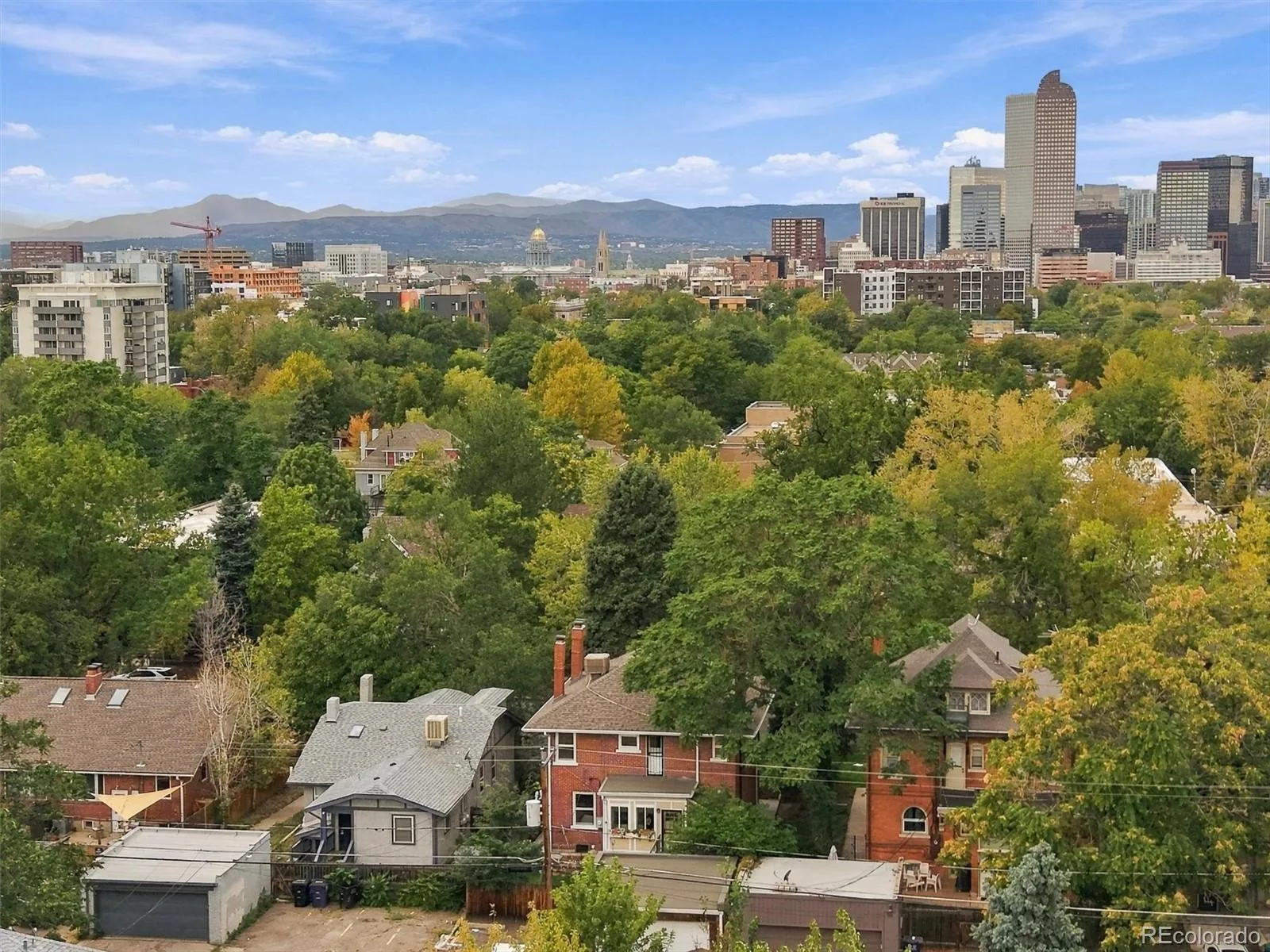 1660 Race Street Denver CO 80206 | MLS #REC1998409 09242026081837 1600 35