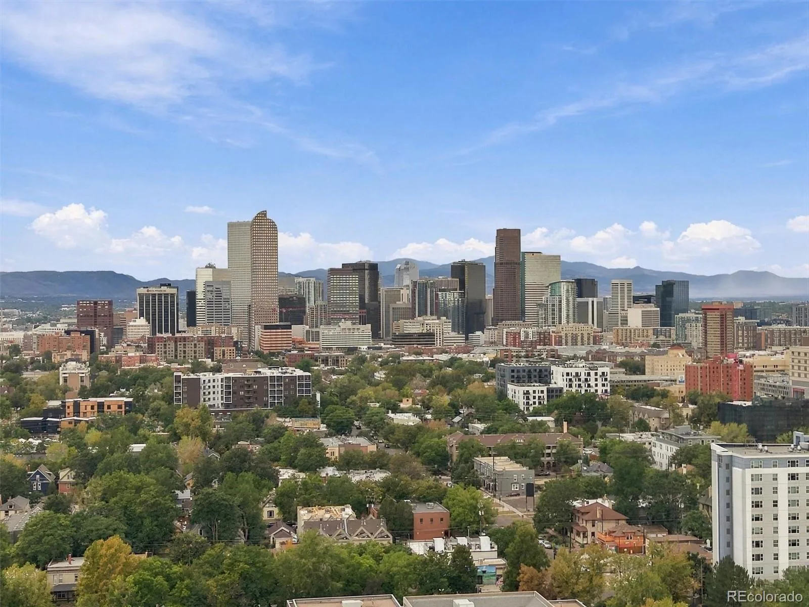 1660 Race Street Denver CO 80206 | MLS #REC1998409 09242026081837 1600 45