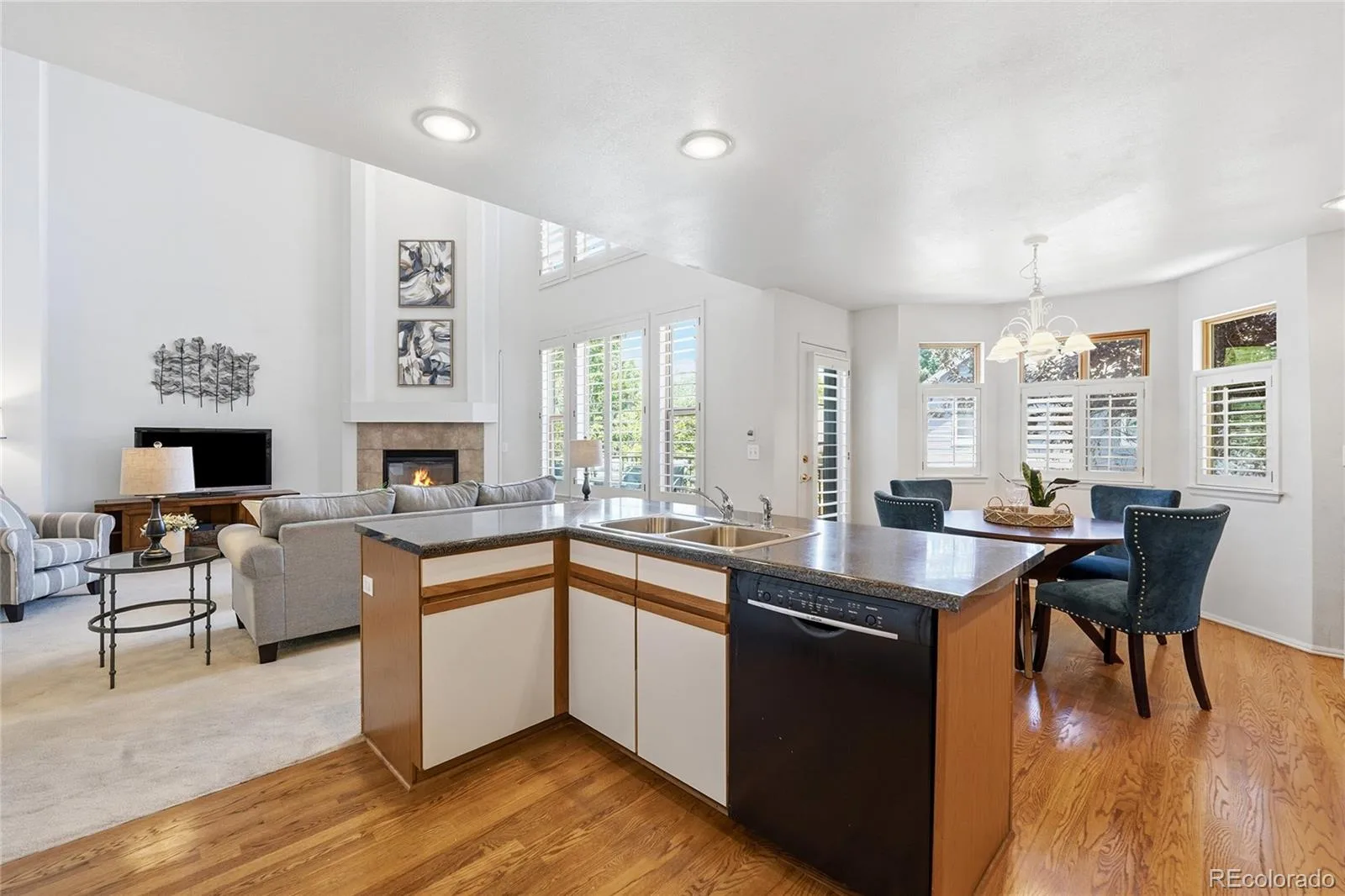 7670 S Hudson Street Littleton CO 80122 MLS #REC2000098 07062026220312 1600 11