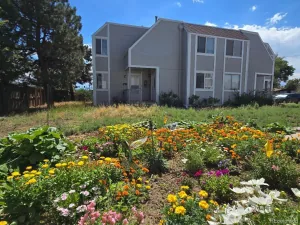 12056 E 25th Avenue Aurora CO 80010 | MLS #REC2002687 08282026052219 300 0