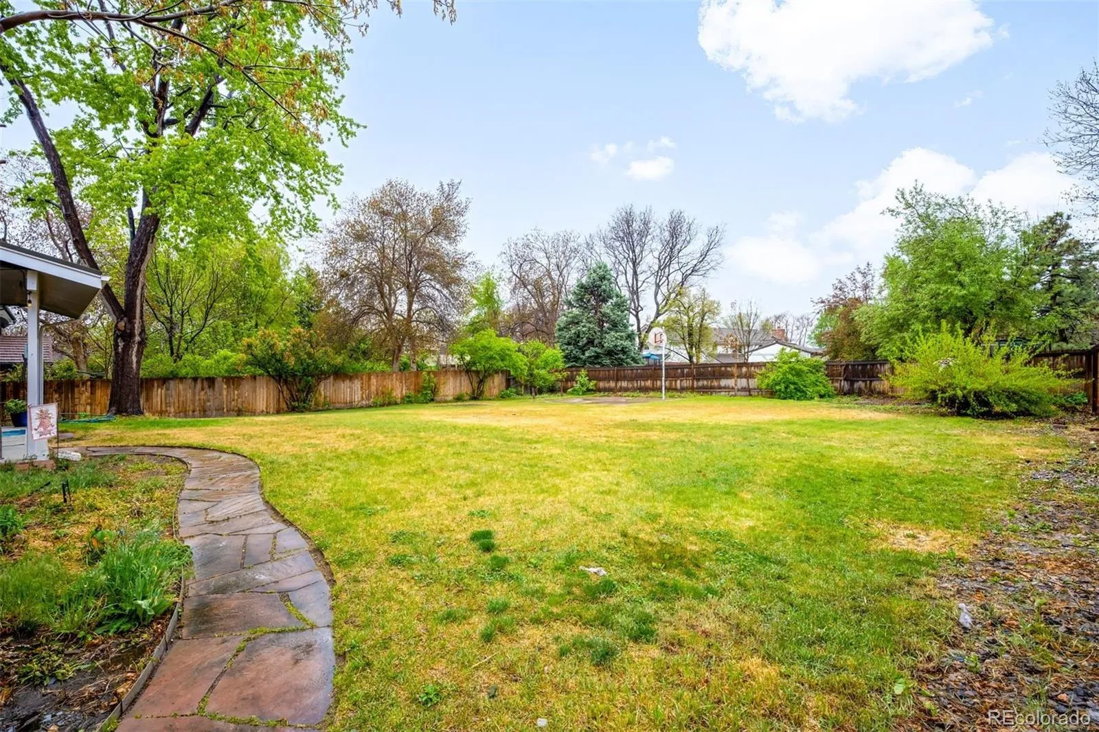 7180 W Fairview Drive Littleton CO 80128 MLS #REC2005006 05072026235635 1600 34