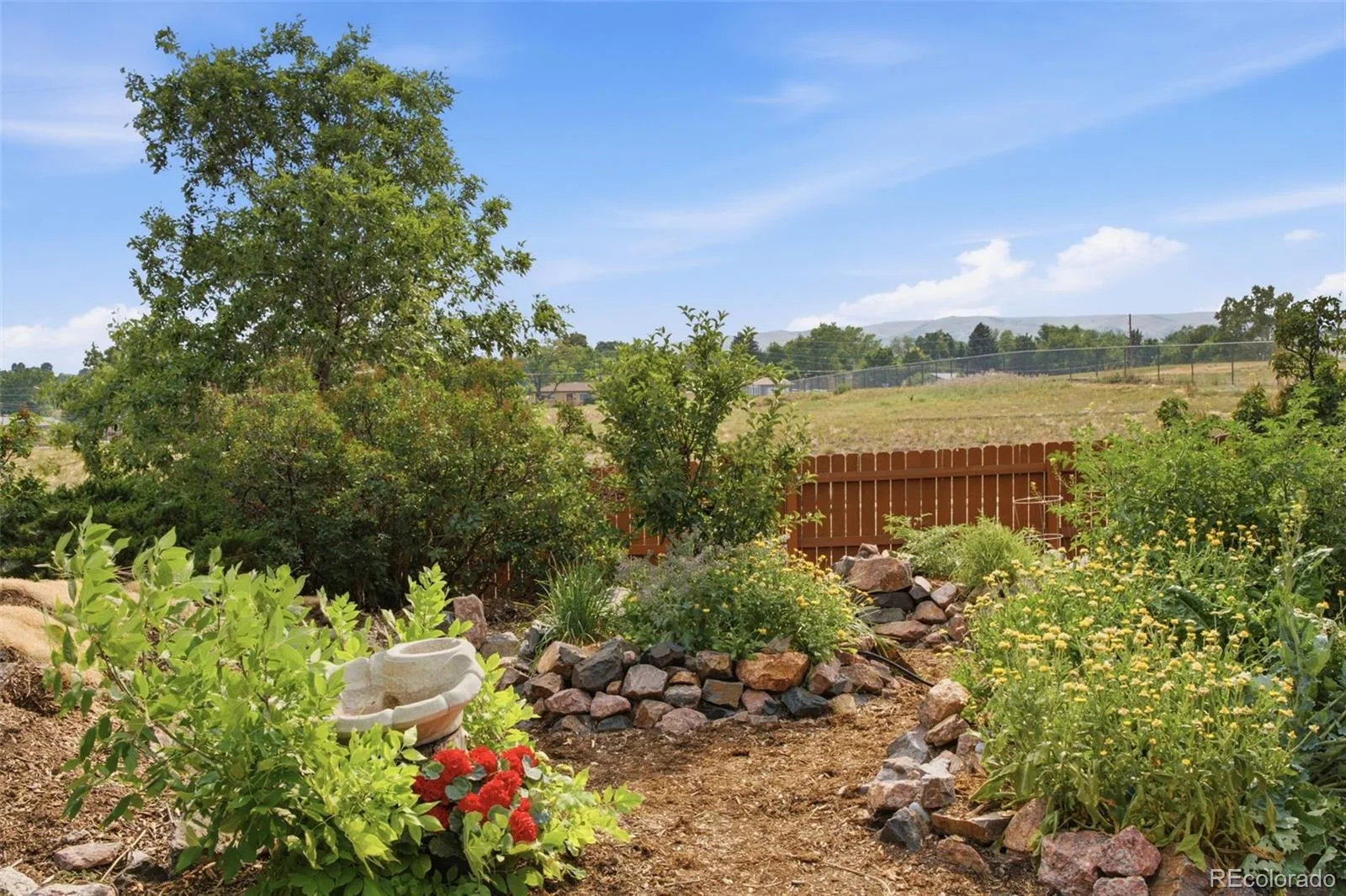 992 S Simms Street Denver CO 80228 | MLS #REC2009272 08262026184143 1600 29