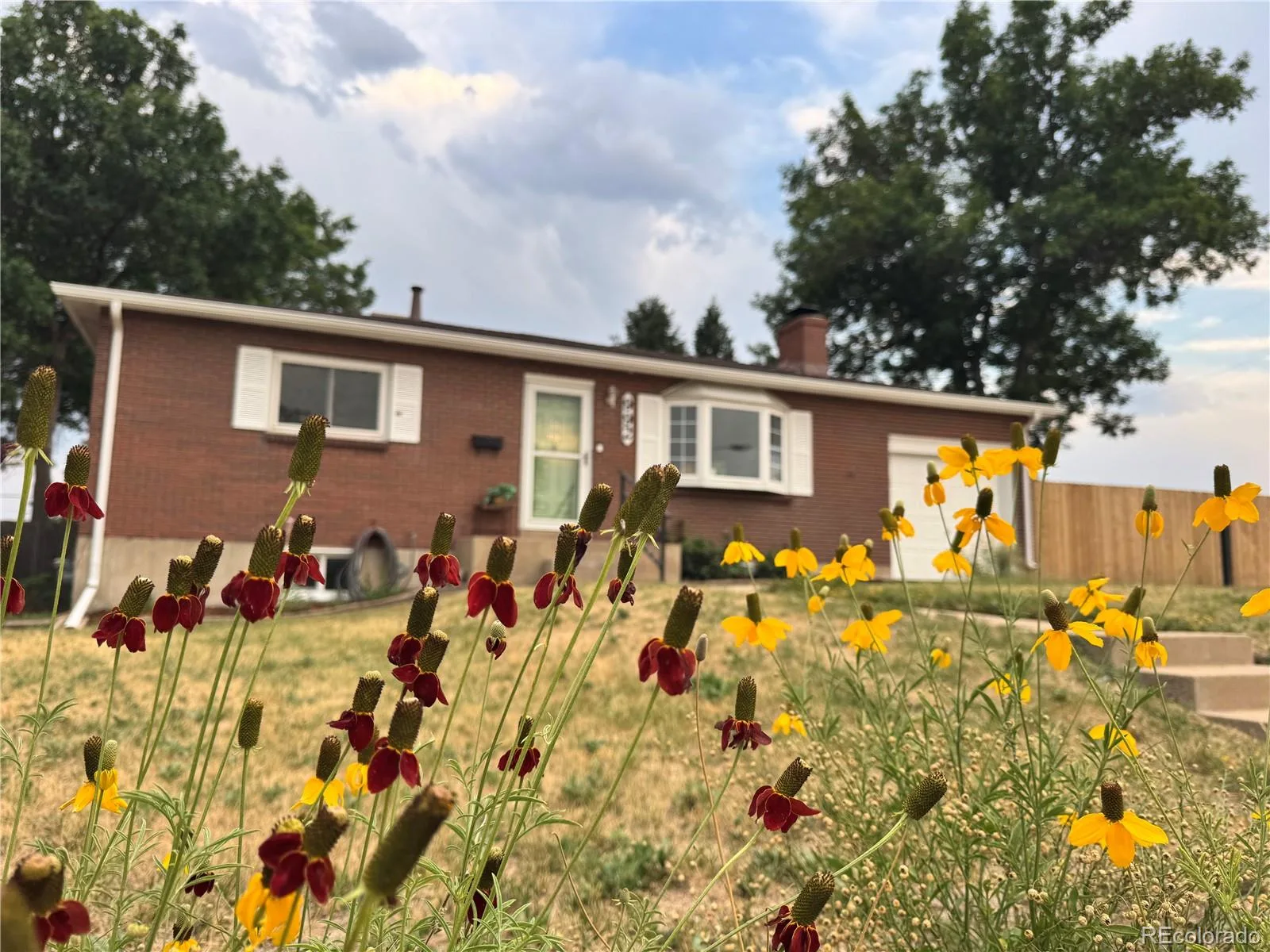 992 S Simms Street Denver CO 80228 | MLS #REC2009272 08262026184143 1600 49
