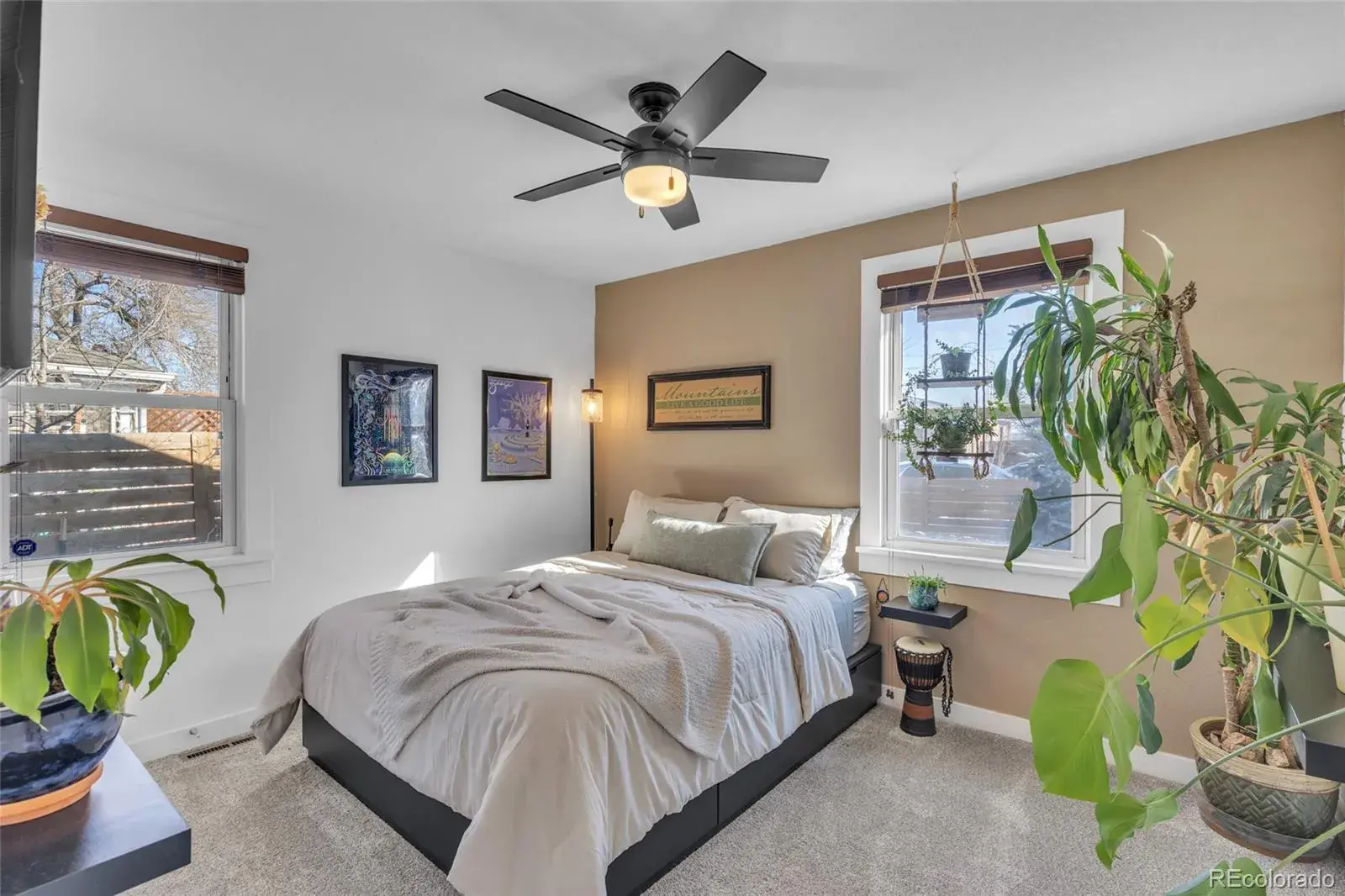 02102026203545 1600 11