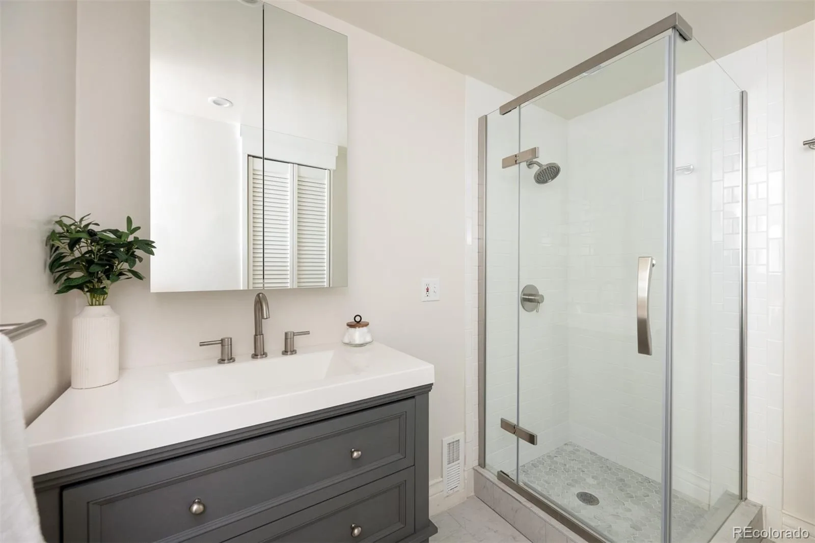 4949 E 6th Avenue Parkway Denver CO 80220 MLS #REC2016605 06252026235542 1600 45