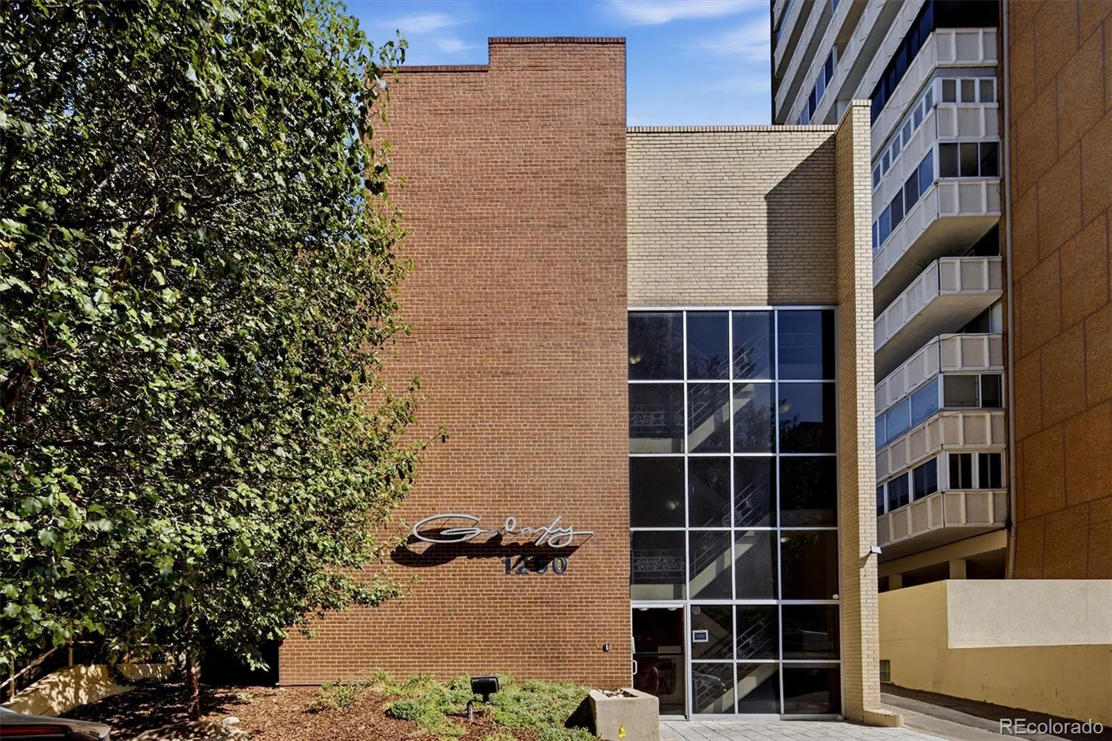 1260 N Humboldt Street #8 Denver CO 80218 | MLS #REC2025271 10152026192000 1600 15