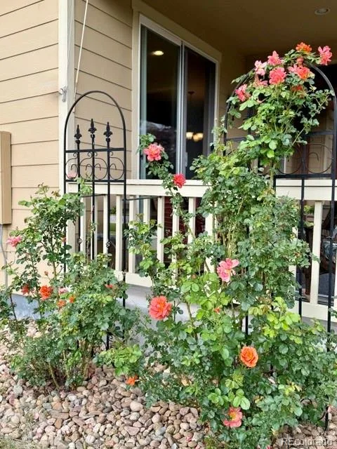 600 Sun Up Place Erie CO 80516 | MLS #REC2026243 06092026161237 480 24