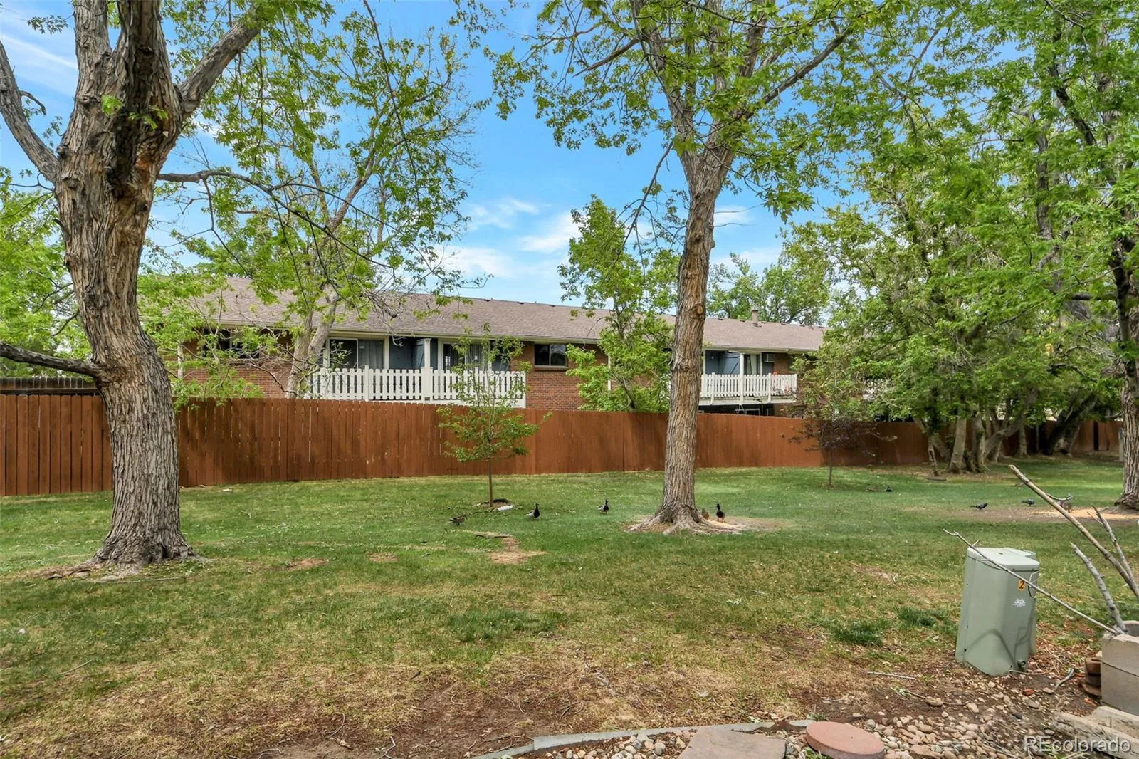 11149 W 17th Avenue #104 Lakewood CO 80215 | MLS #REC2028248 05192026194942 1600 13