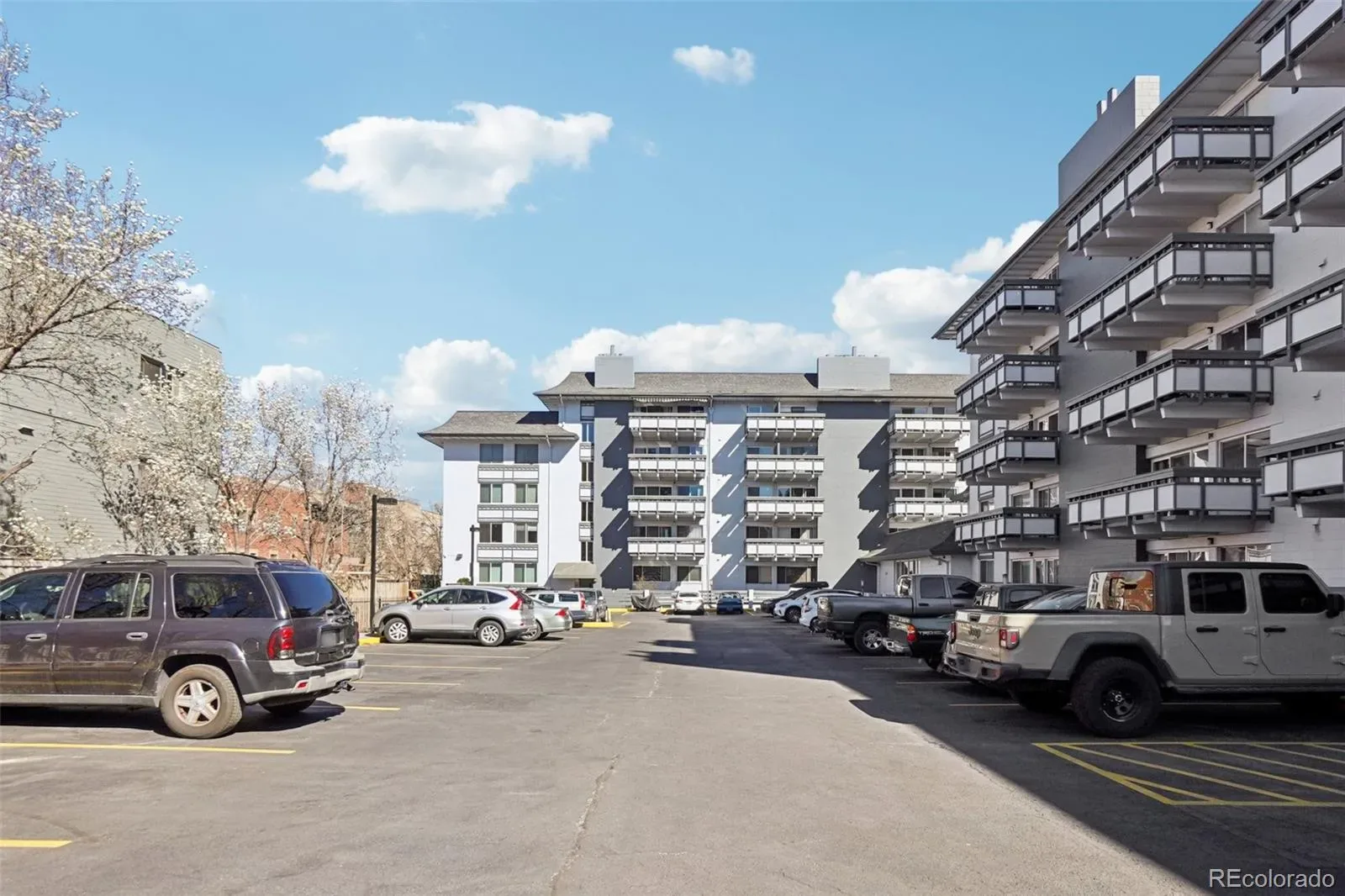 555 E 10th Avenue #3 Denver CO 80203 MLS #REC2037547 03252026152322 1600 23