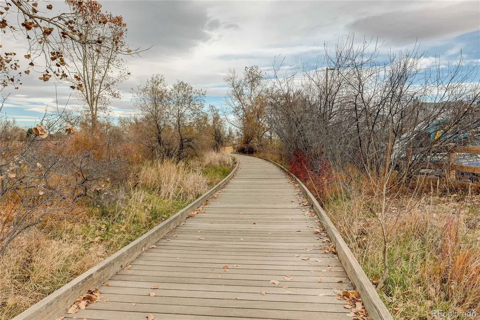 01192026010357 1600 24