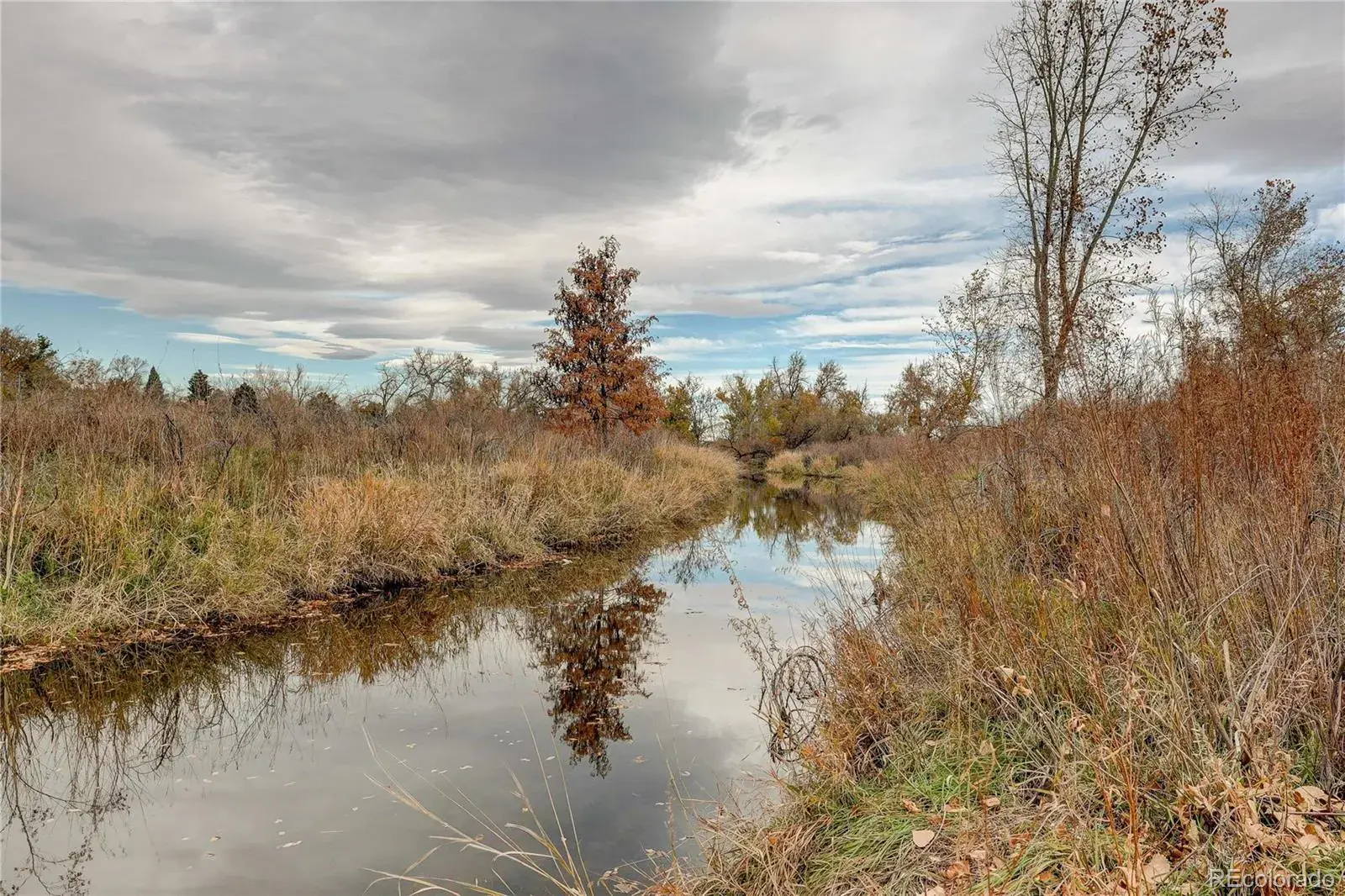 01192026010357 1600 30